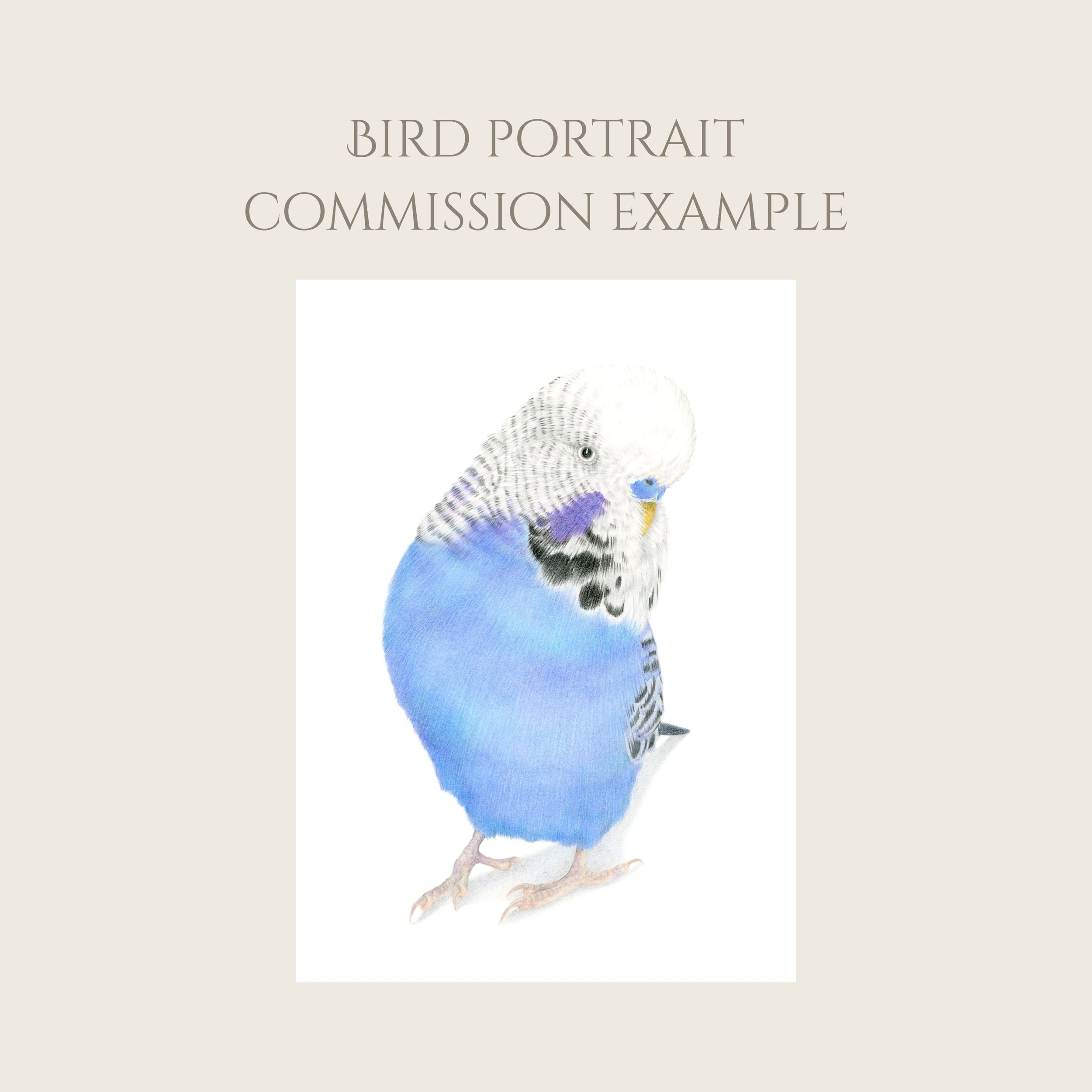 Frame suggestion (Drawing comes unframed) (9).jpg