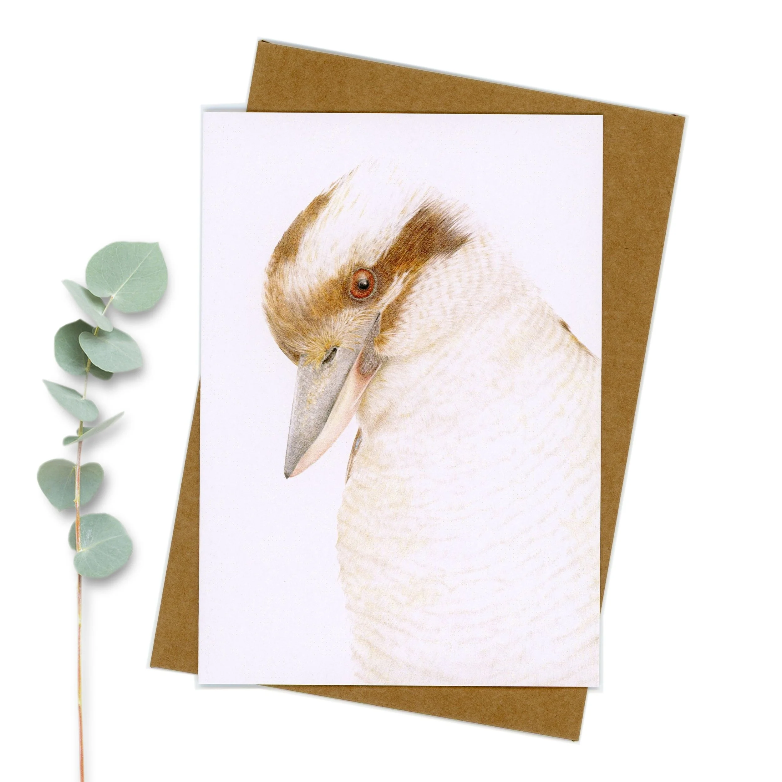 Kookaburra in profile greeting card