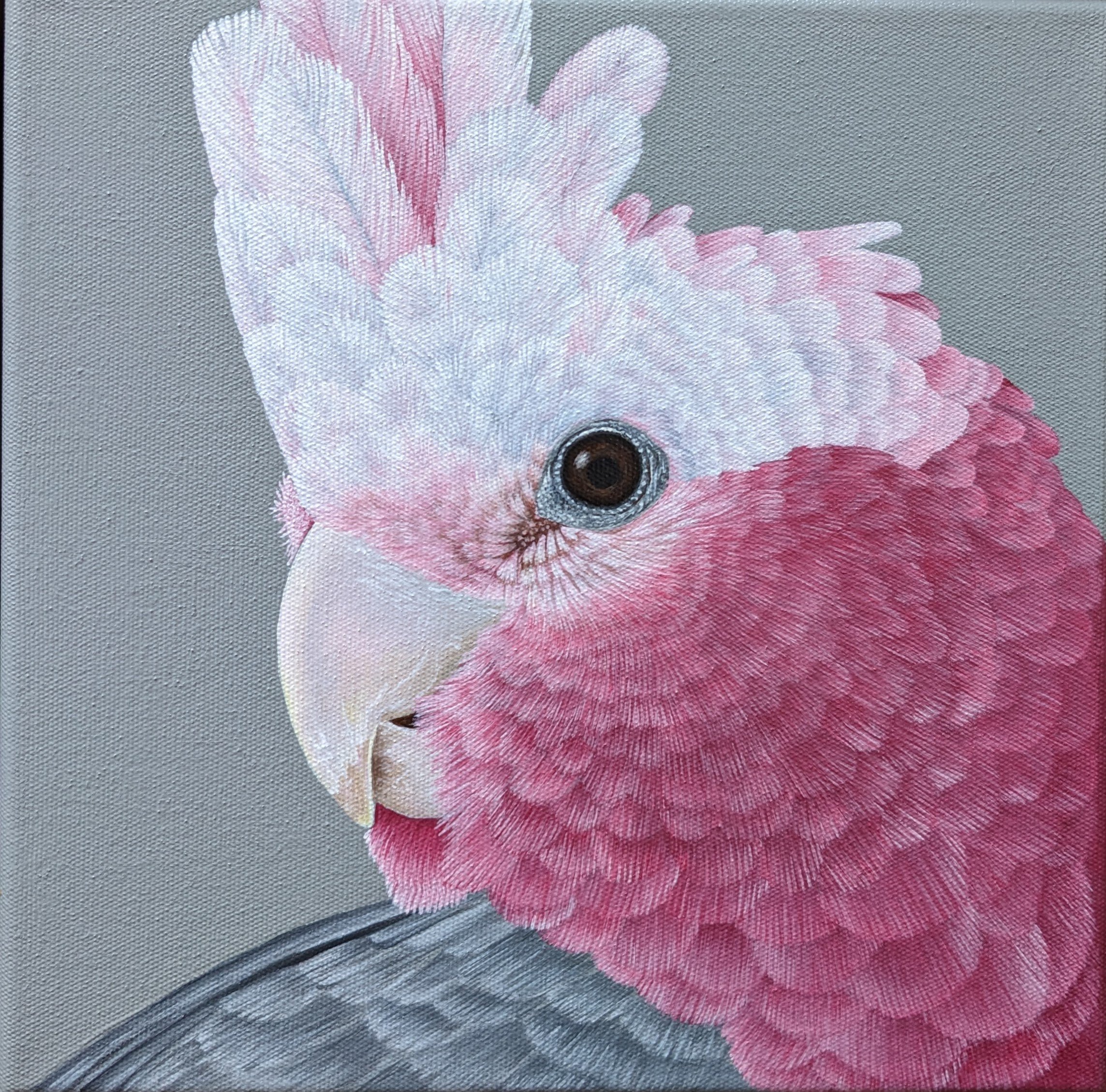 galahpaintingwithoutframe.jpg