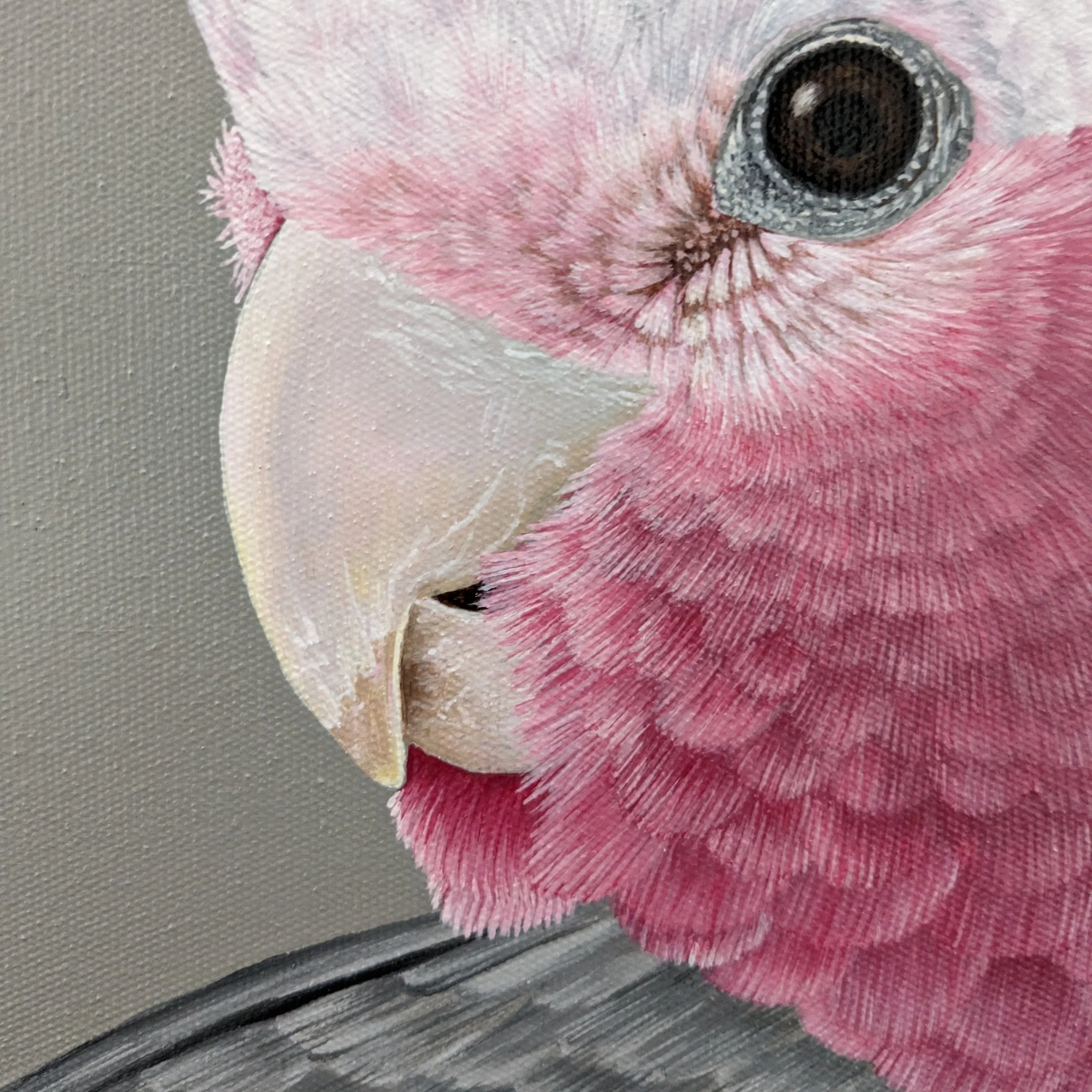 galahpaintingcloseup.jpg