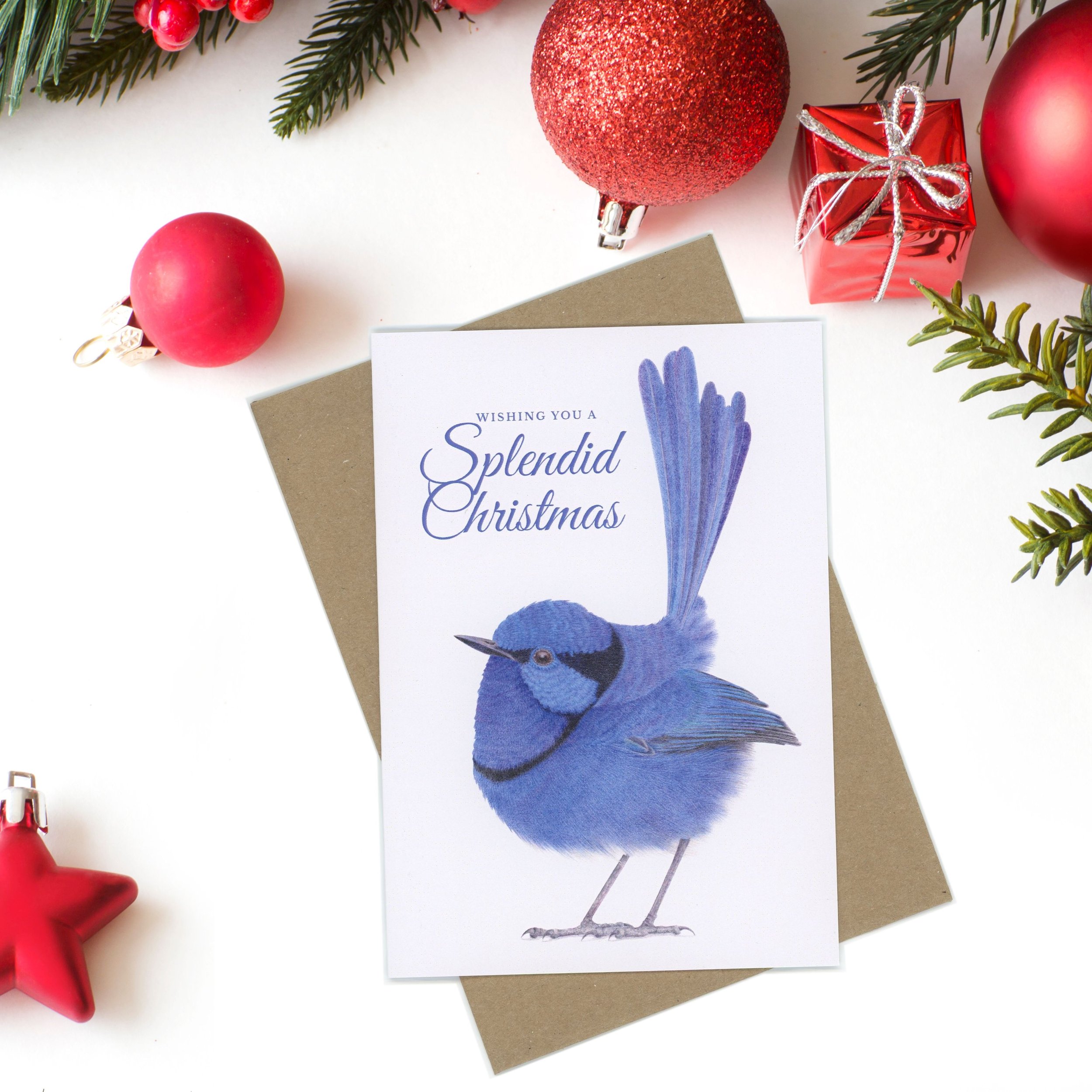Wishing you a Splendid Christmas.  Christmas card with a splendid fairy-wren.