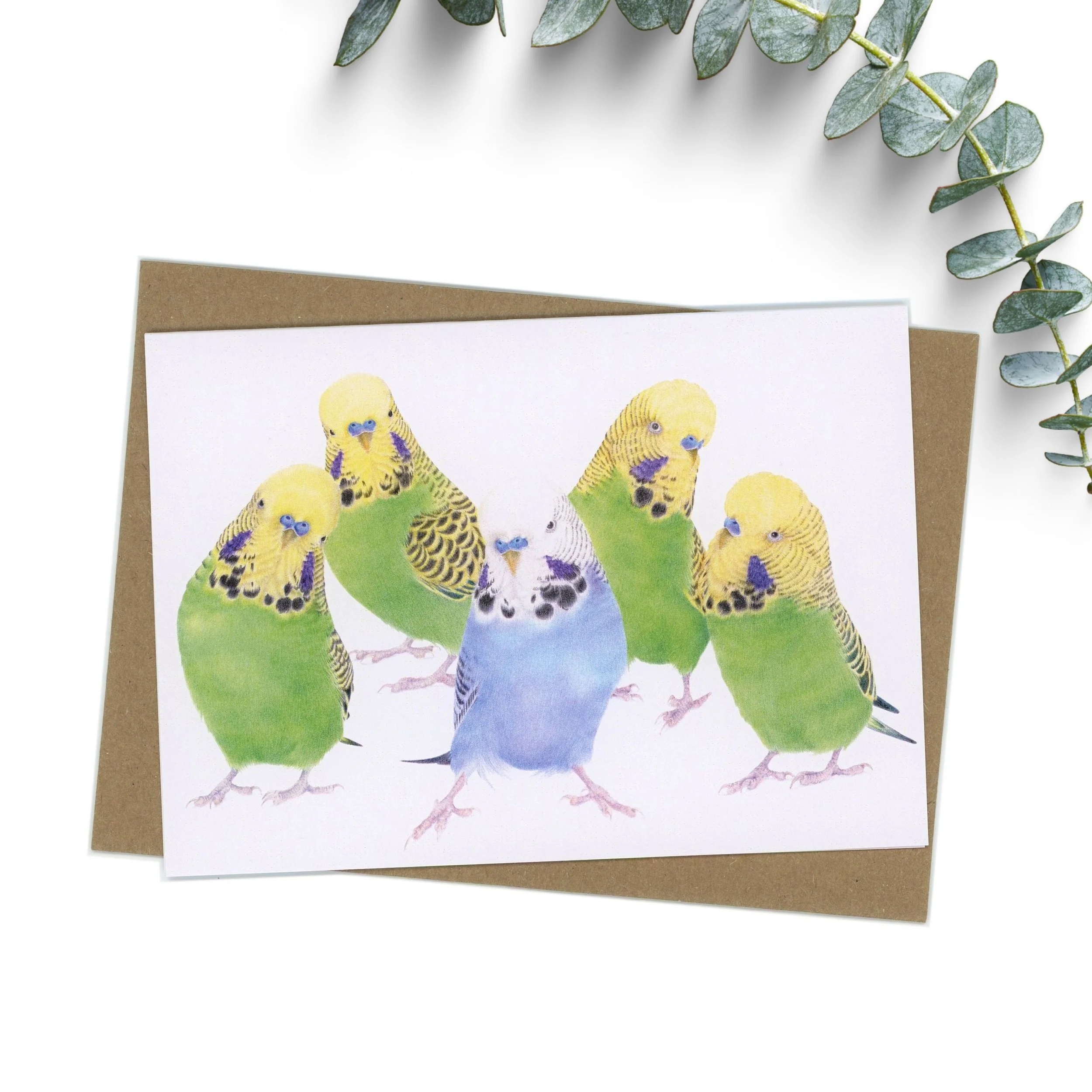 Group of five budgies greeting card