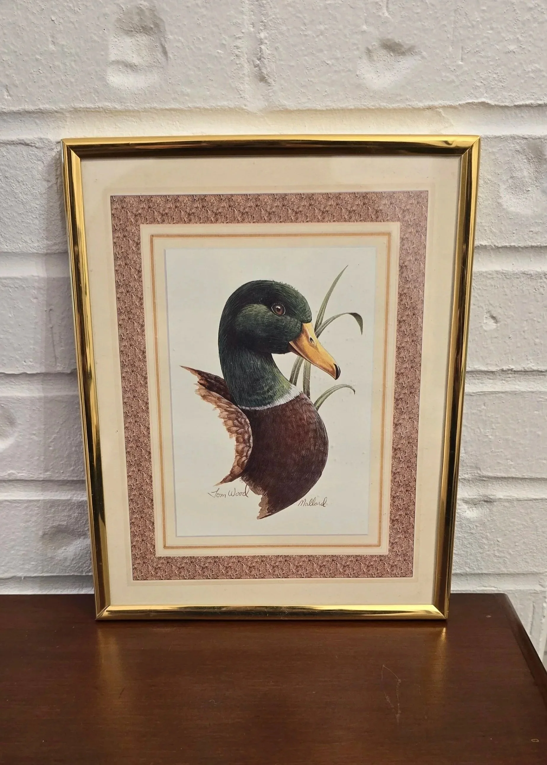 Tom Wood Vintage Duck Print with Gold Frame