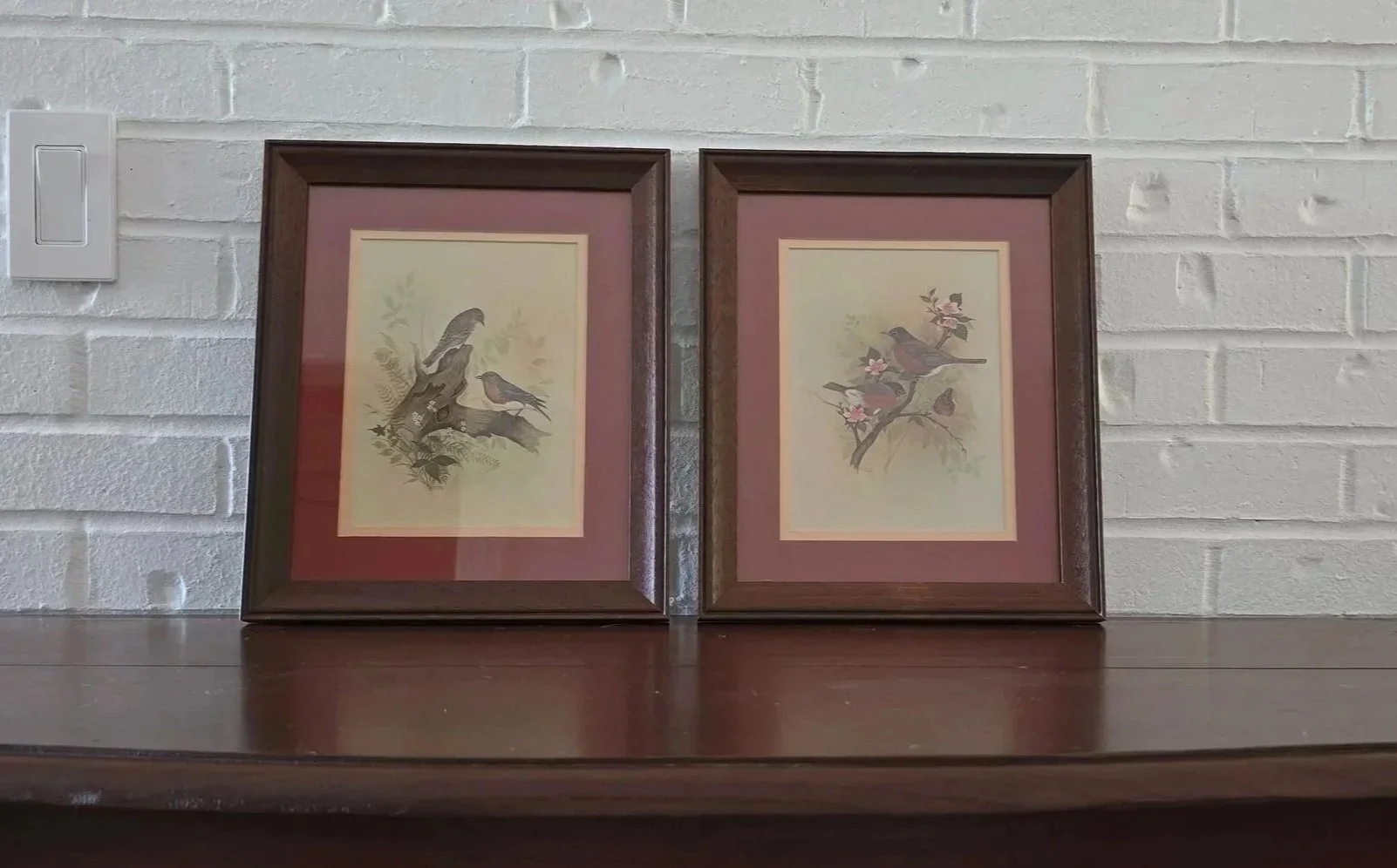 2 Vintage Bird Pictures