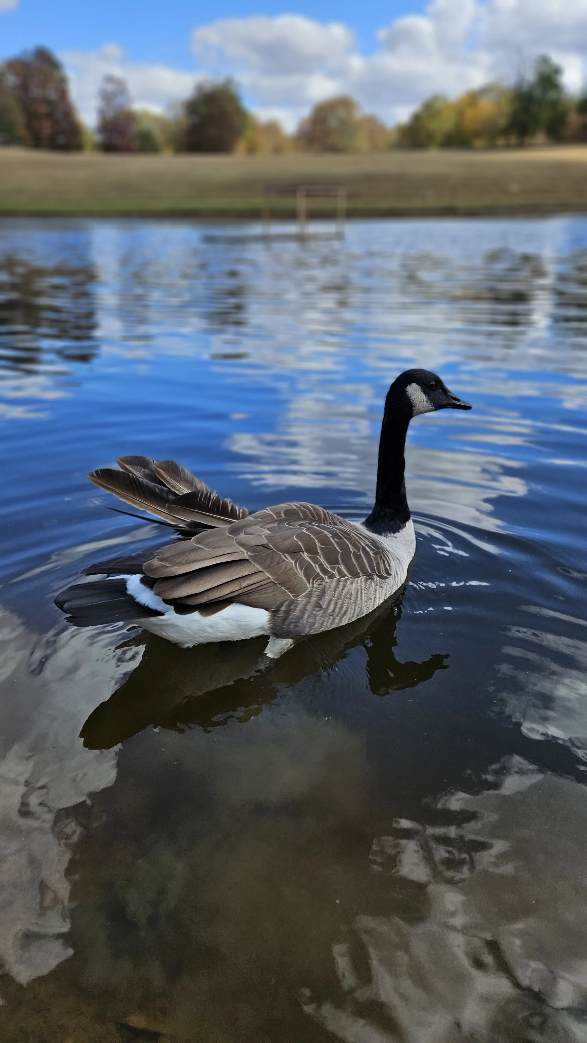 20231026_132719.jpg
