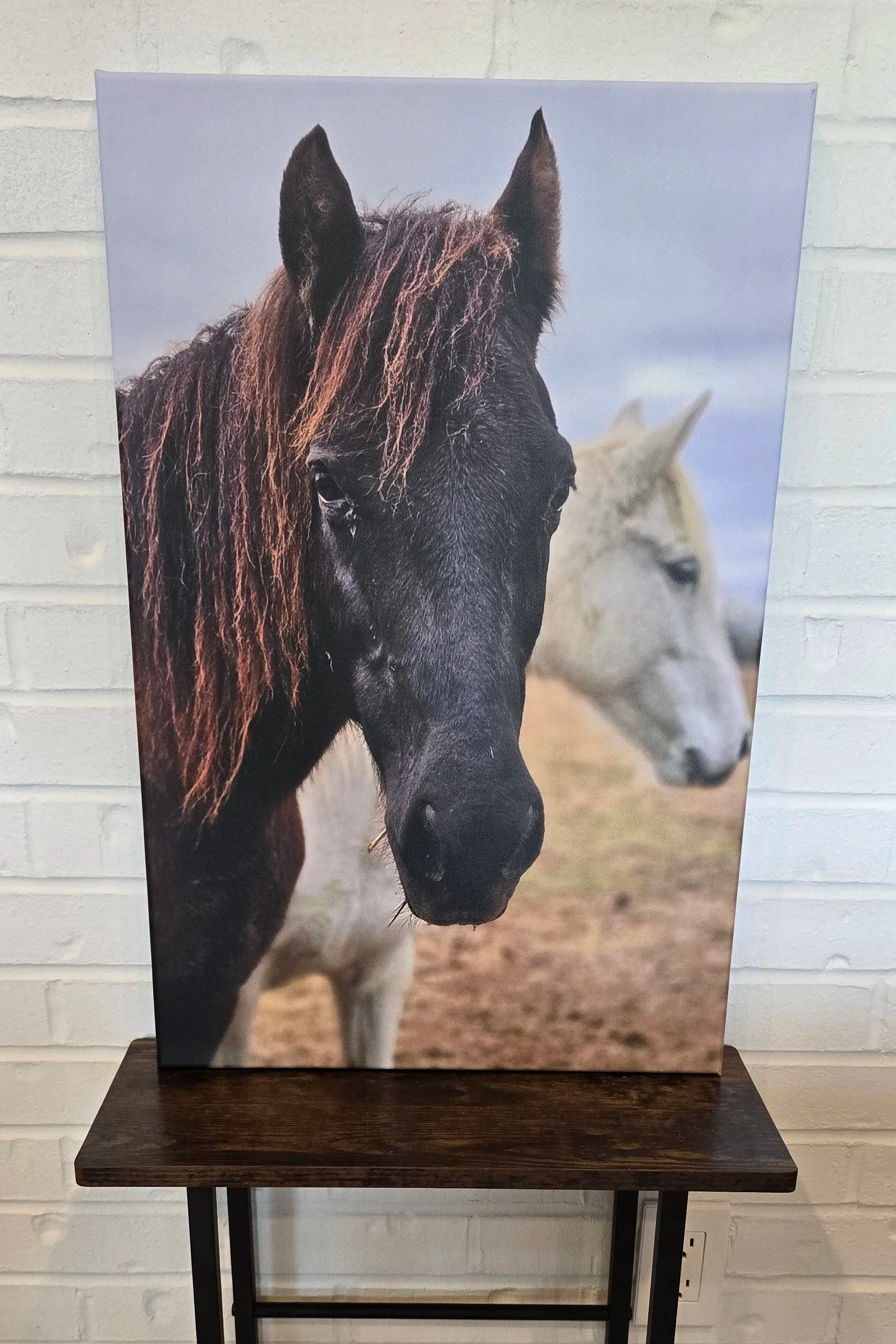 Original Photography by Eowyn - Canvas Print - Angel the Horse