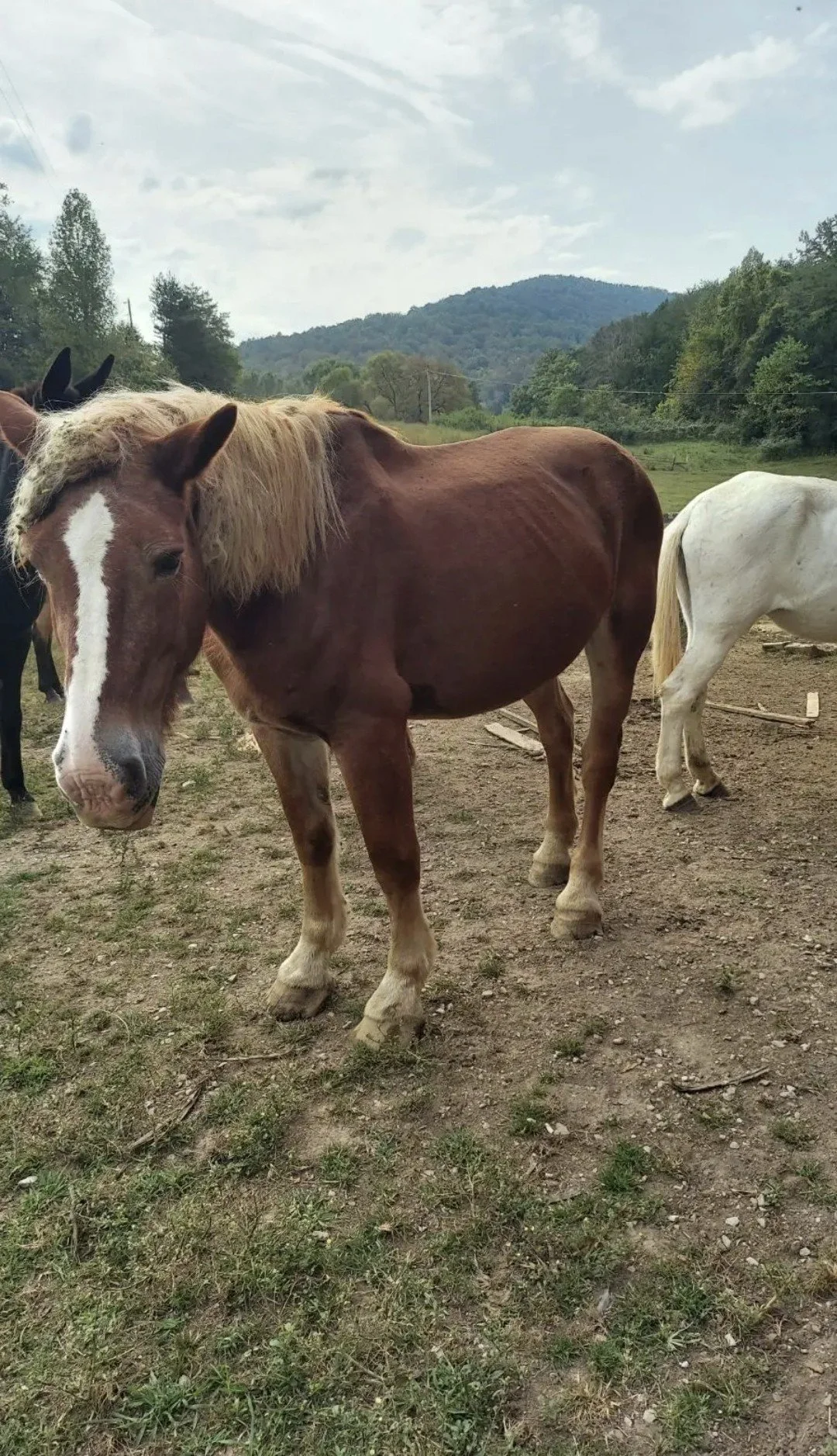 Mae at her past home