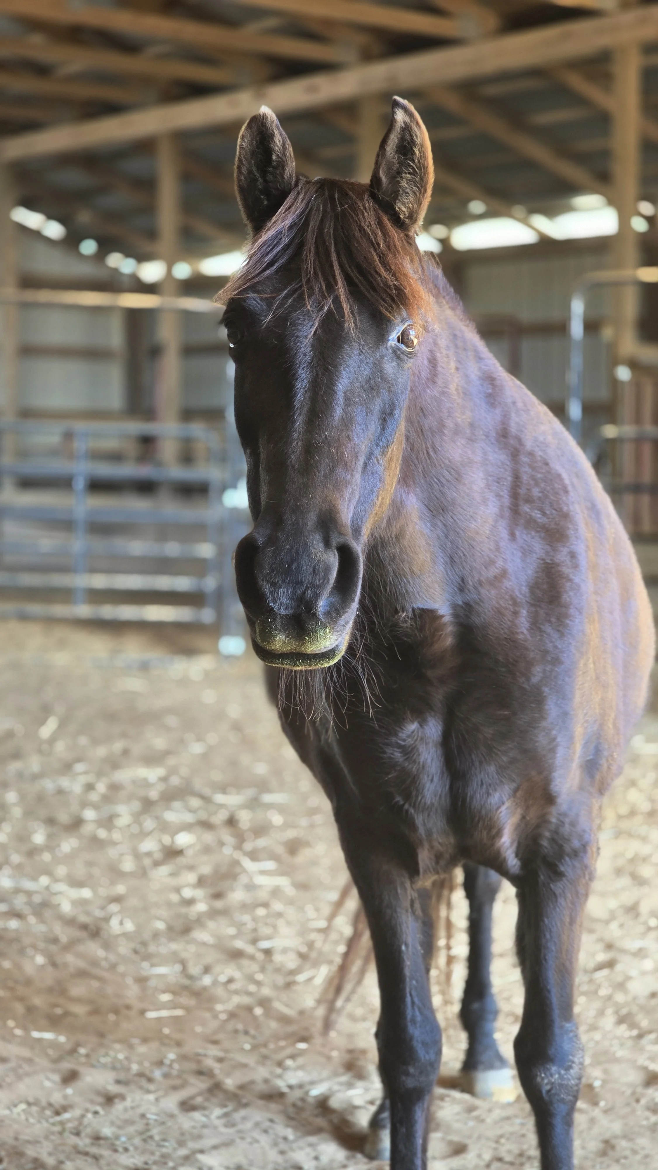 Beautiful Laney Now