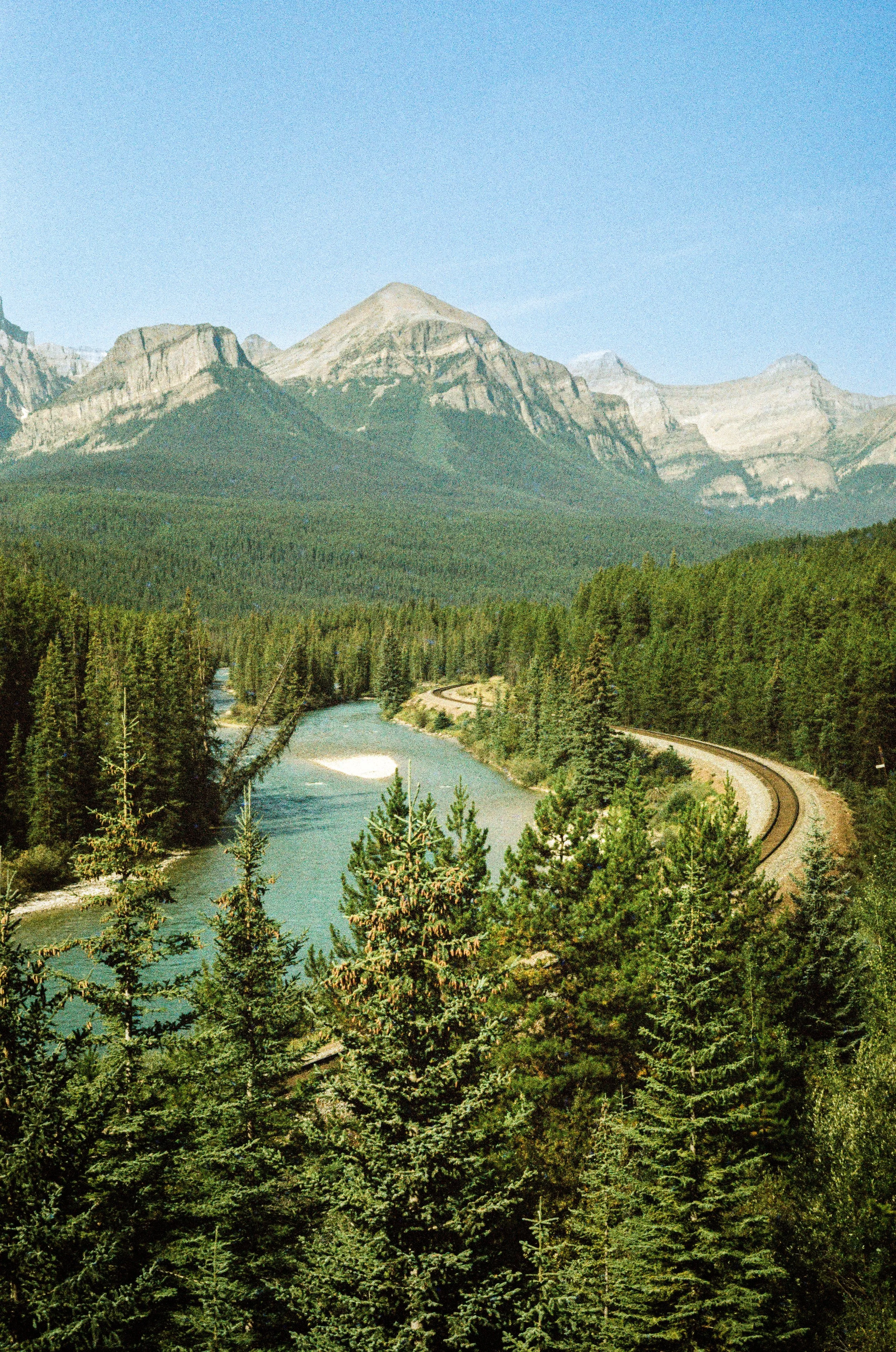 A scenic mountain landscape with a river winding through a dense forest of pine trees.