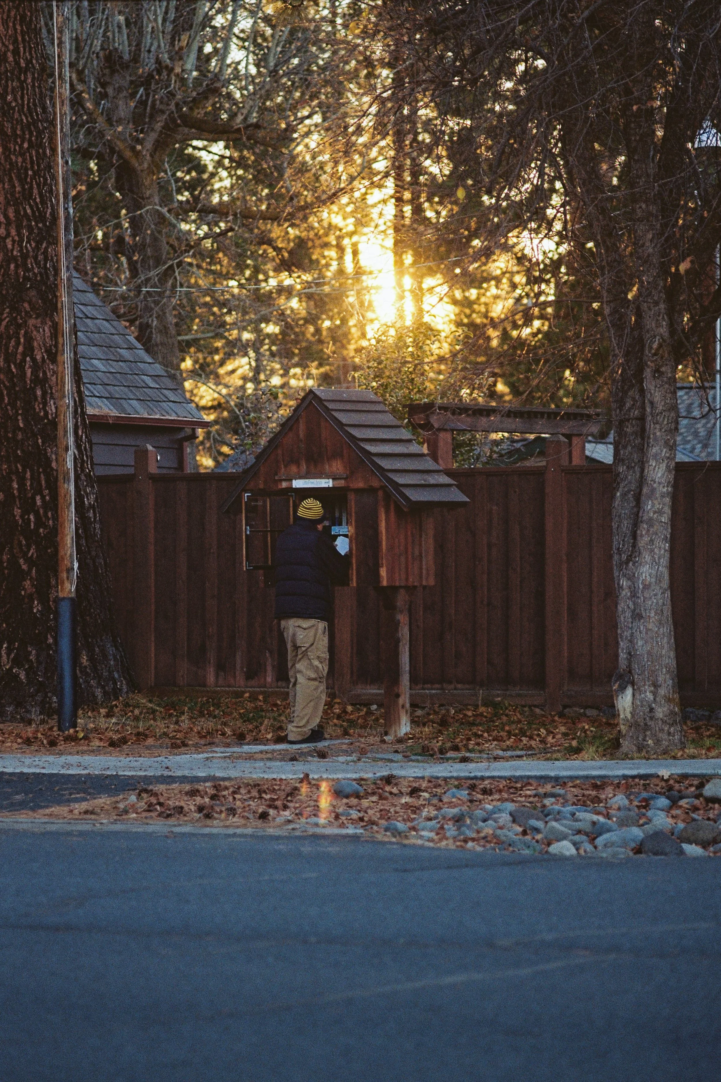 Person wearing a black jacket and yellow striped hat looking at a mailbox on a wooden fence in a backyard with trees and sunlight in the background.