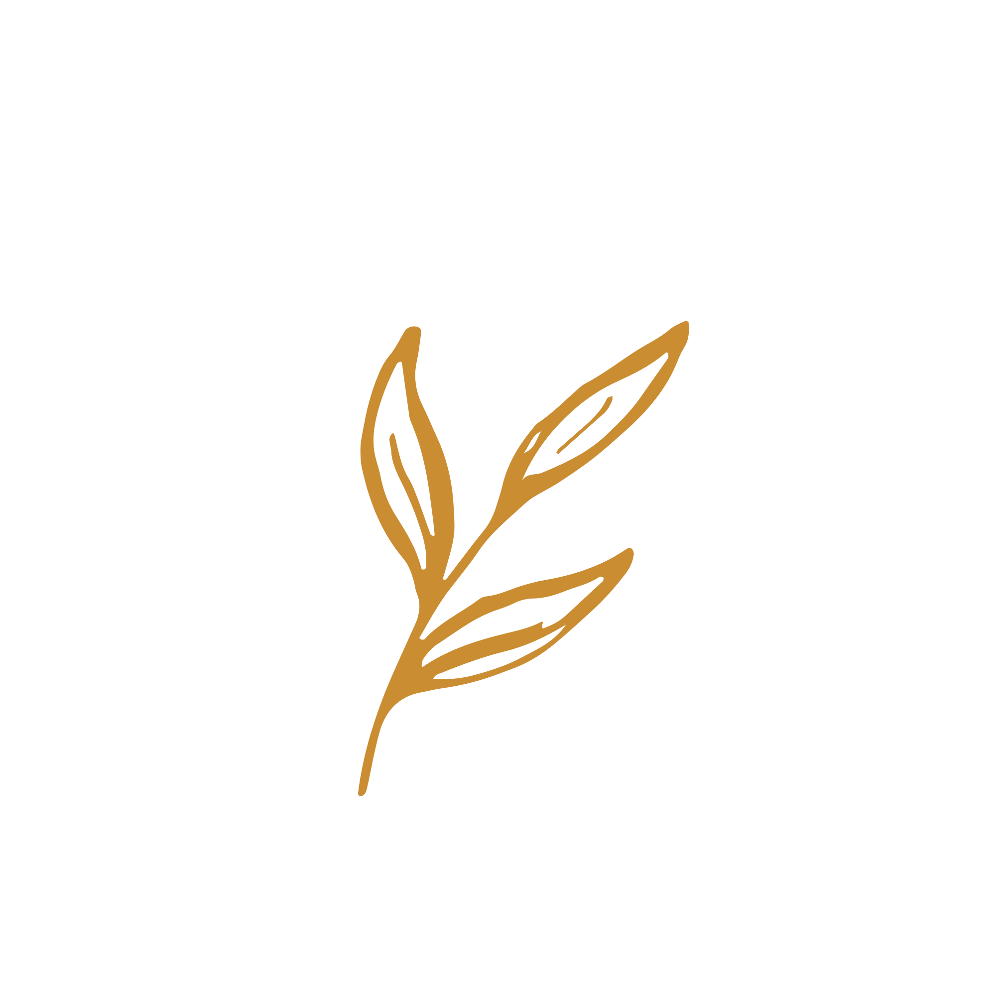 Minimalist line drawing of a plant with three leaves in brown.