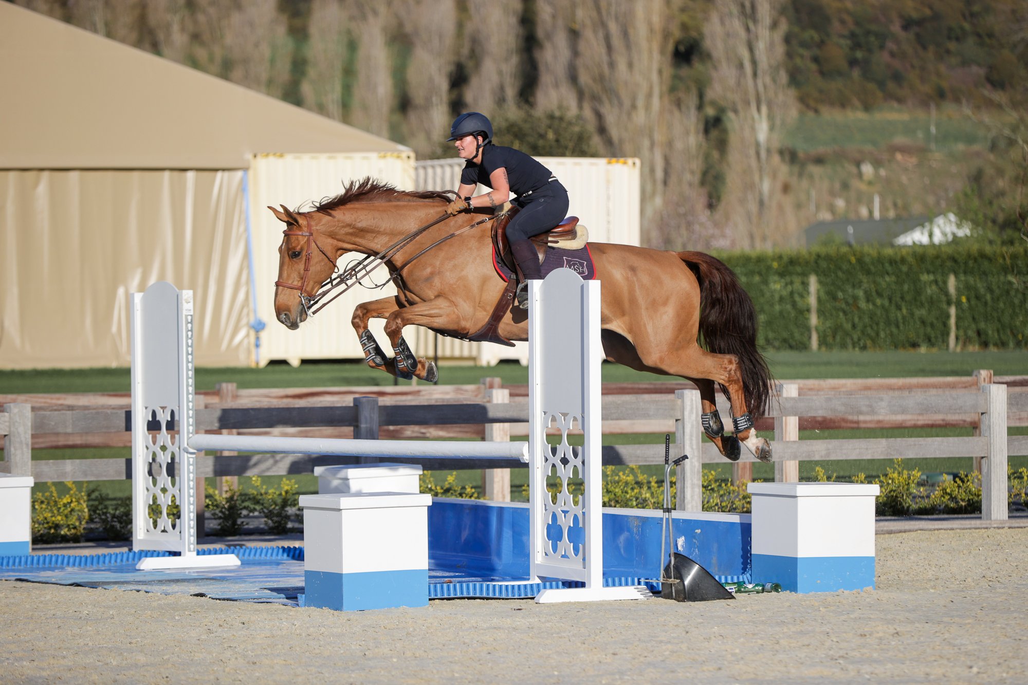 A female horseback rider in black attire and a helmet jumping over a blue and white obstacle during a equestrian show jumping competition outdoors, with trees and hills in the background.