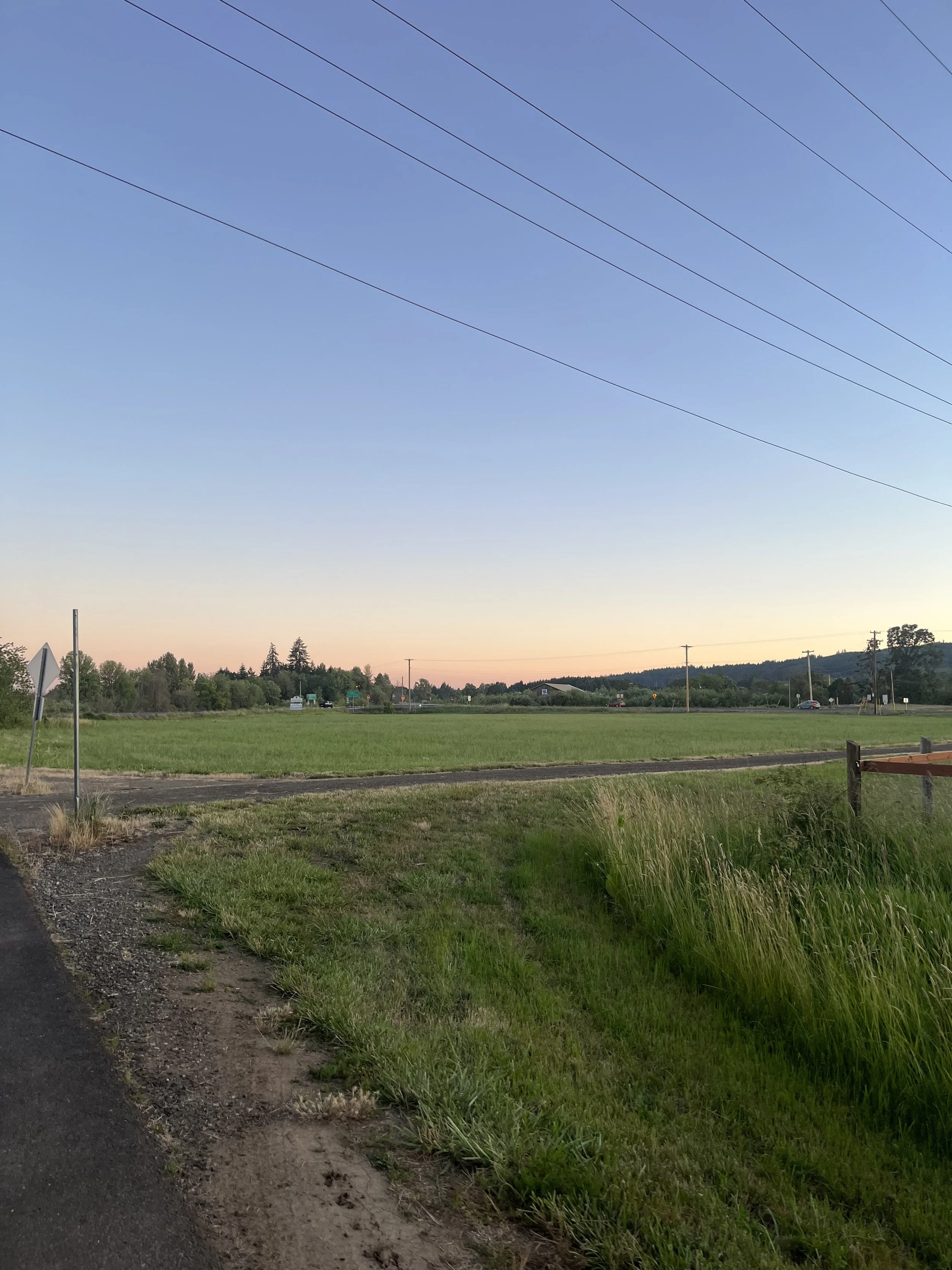 IMG_8585.jpeg