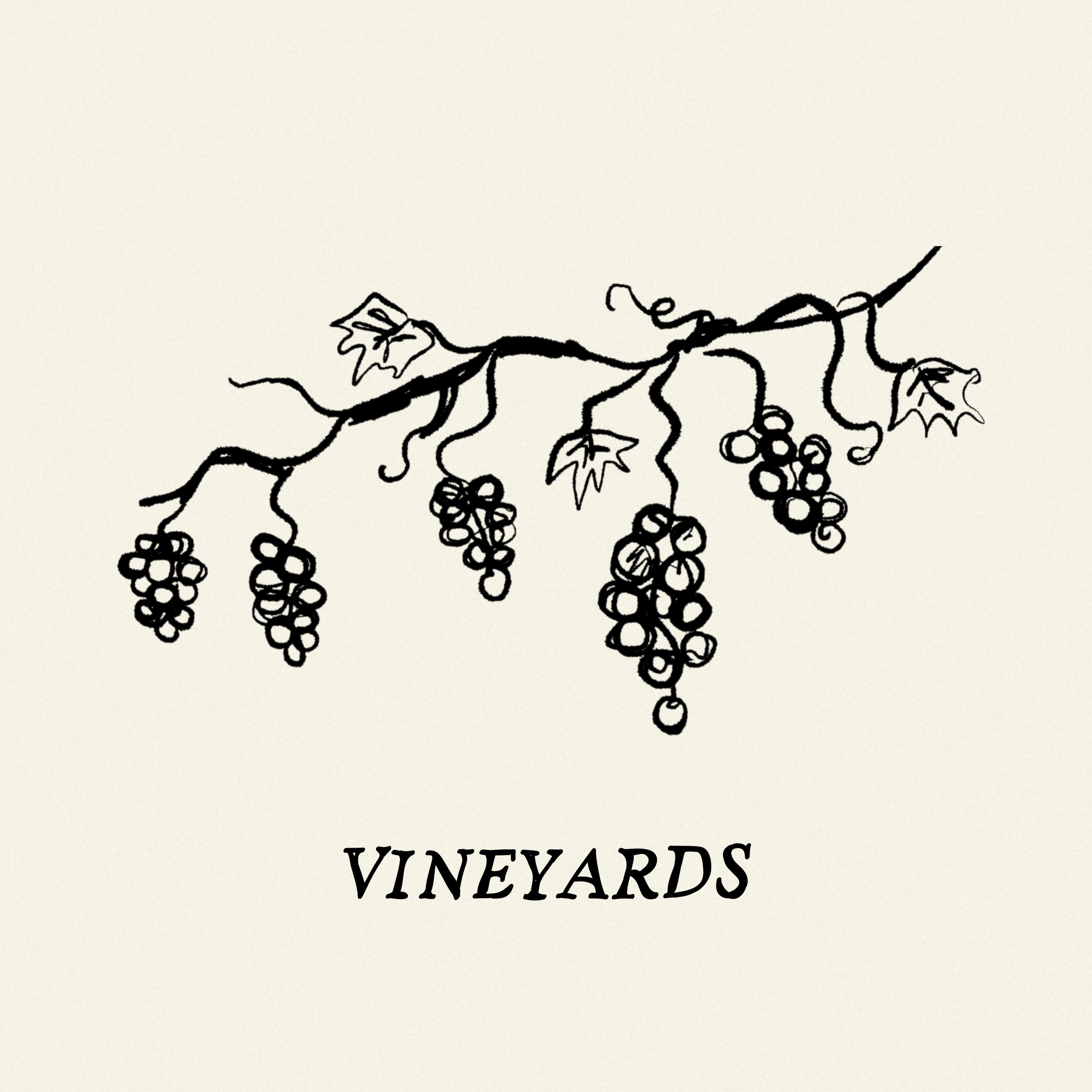 Vineyards — Alex Walker