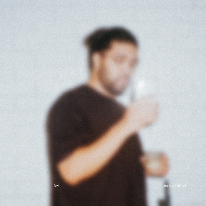 Are You Hiding? — Feki