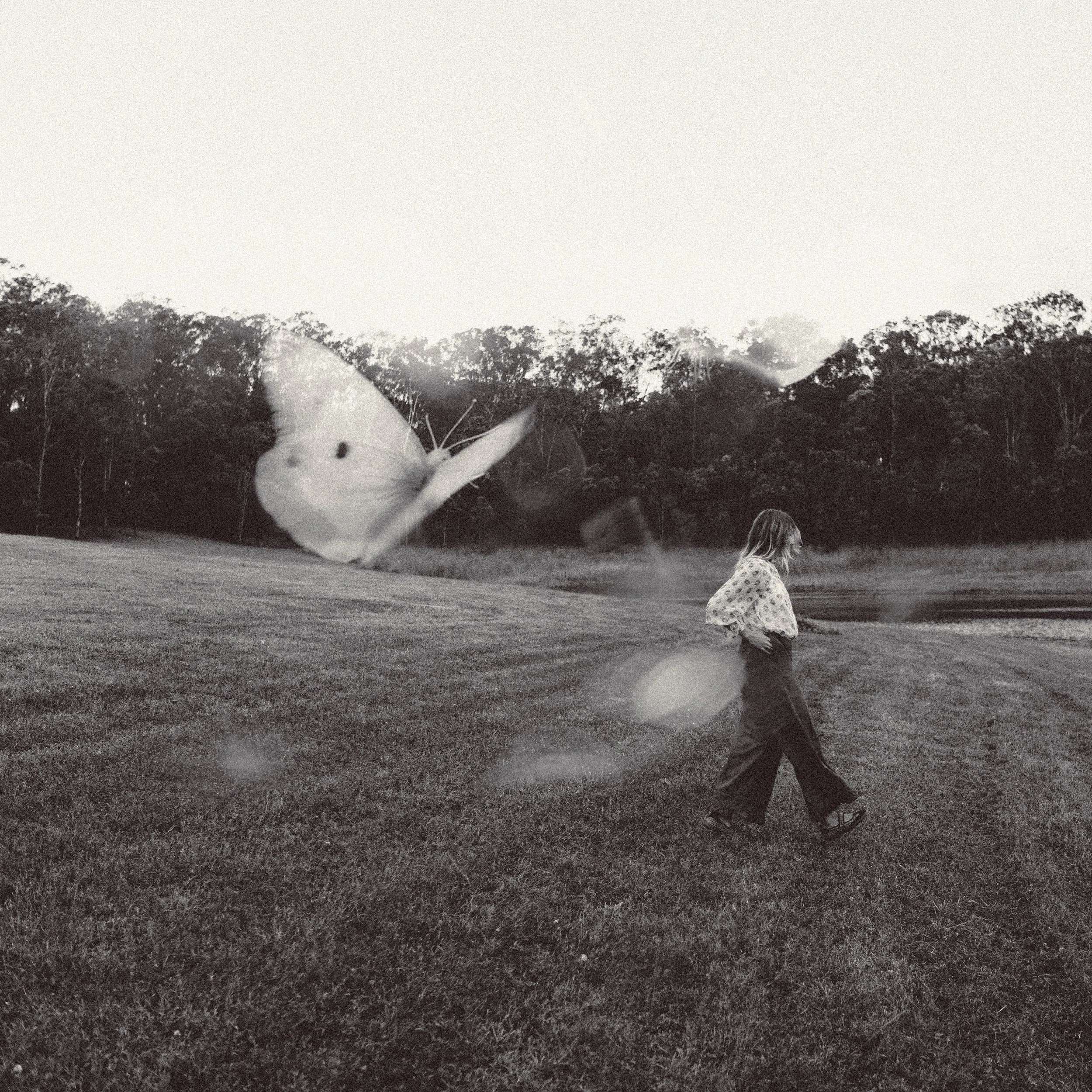 Miracle — Ayden Crory