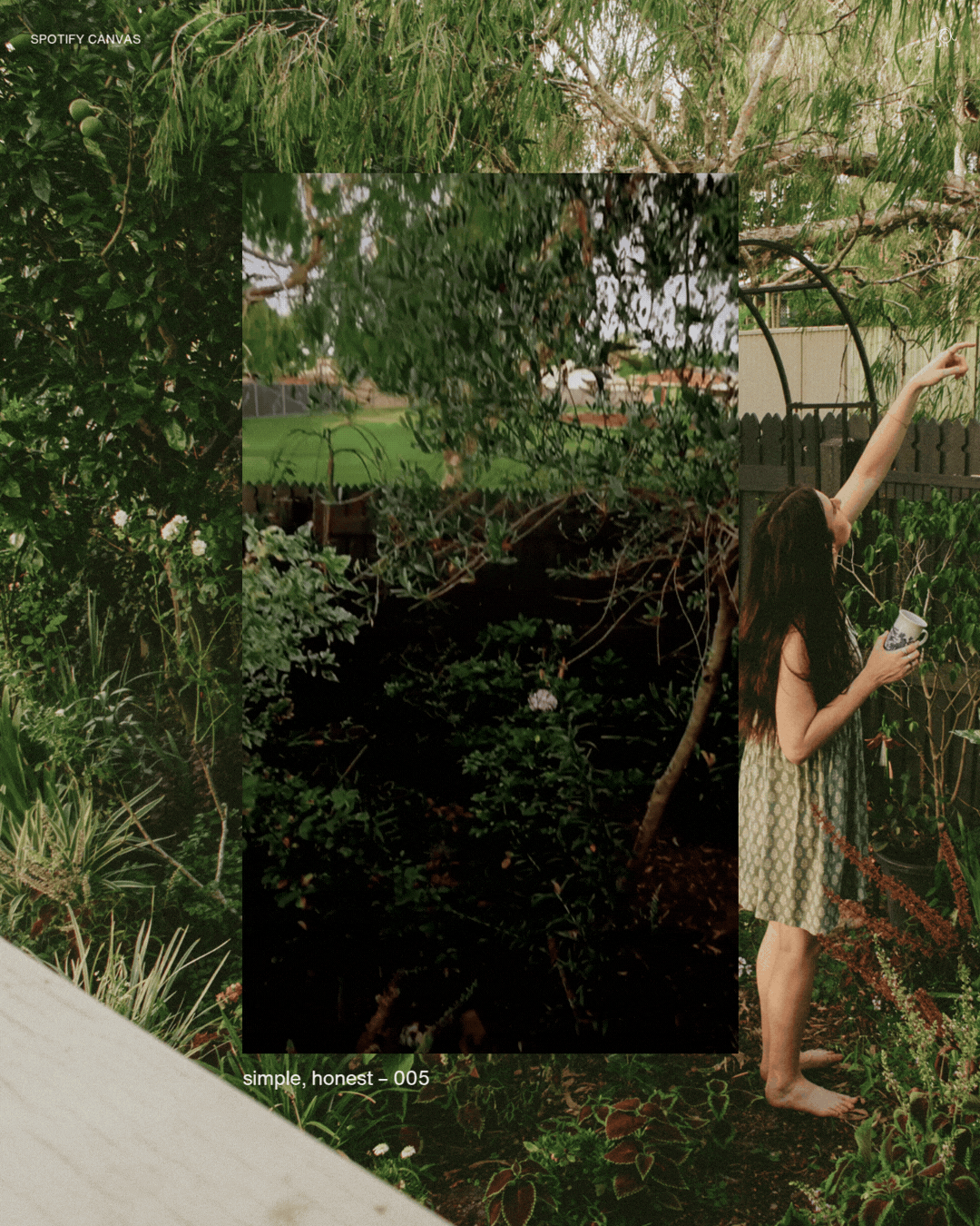 5.gif