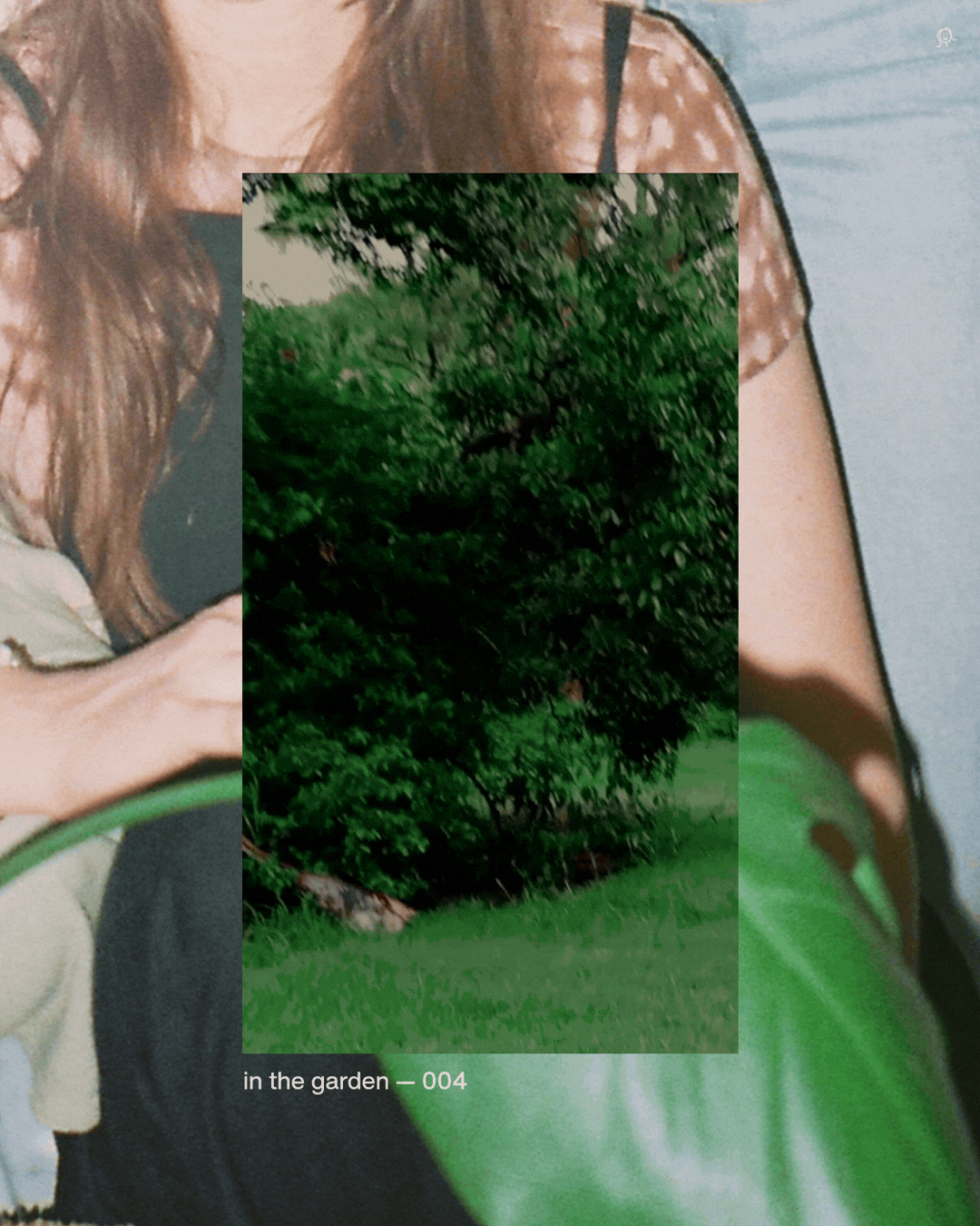 12.gif