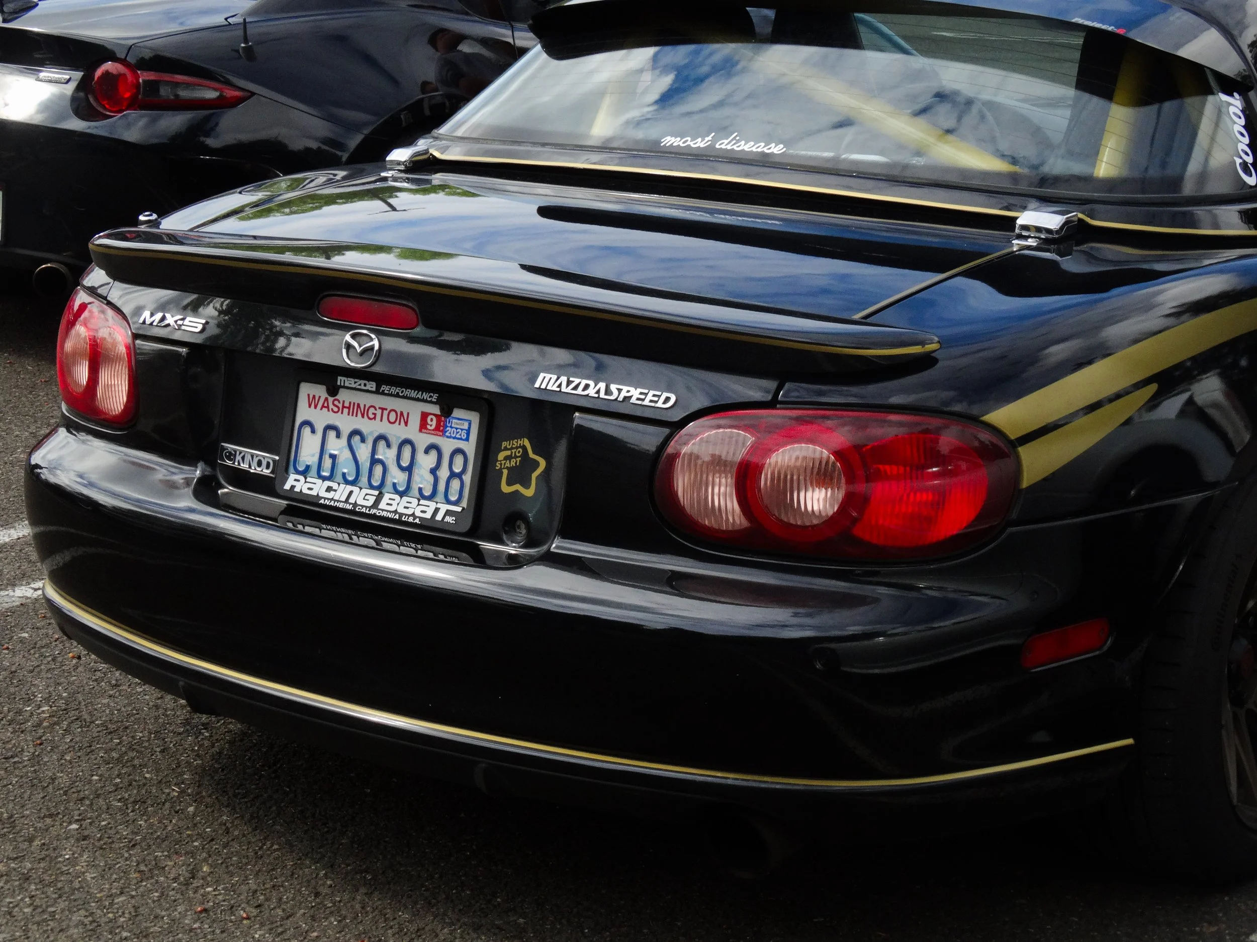 DSC02265.jpeg