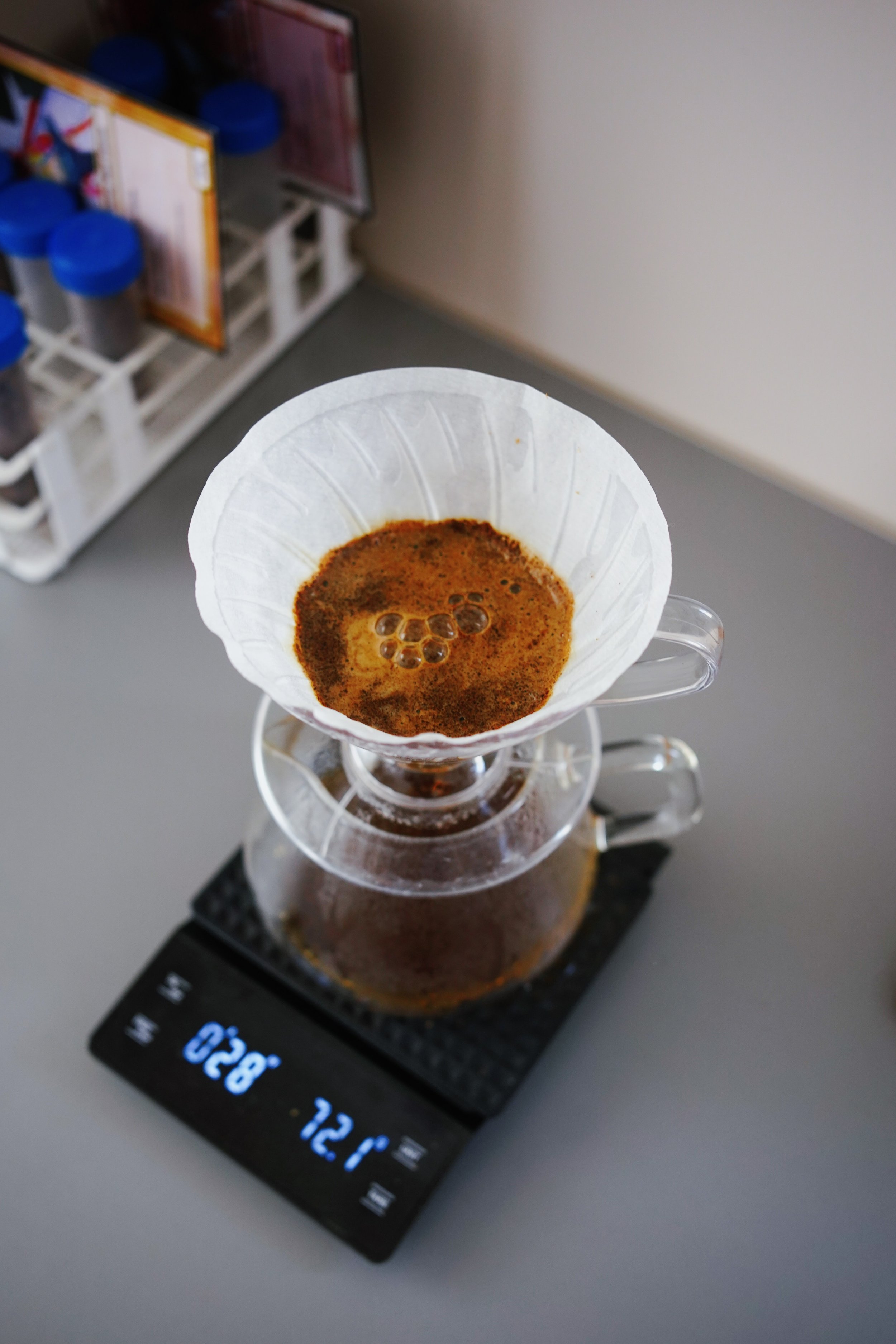 Decaf Nicaragua La Bastilla Honey Geisha SHG EP SWP