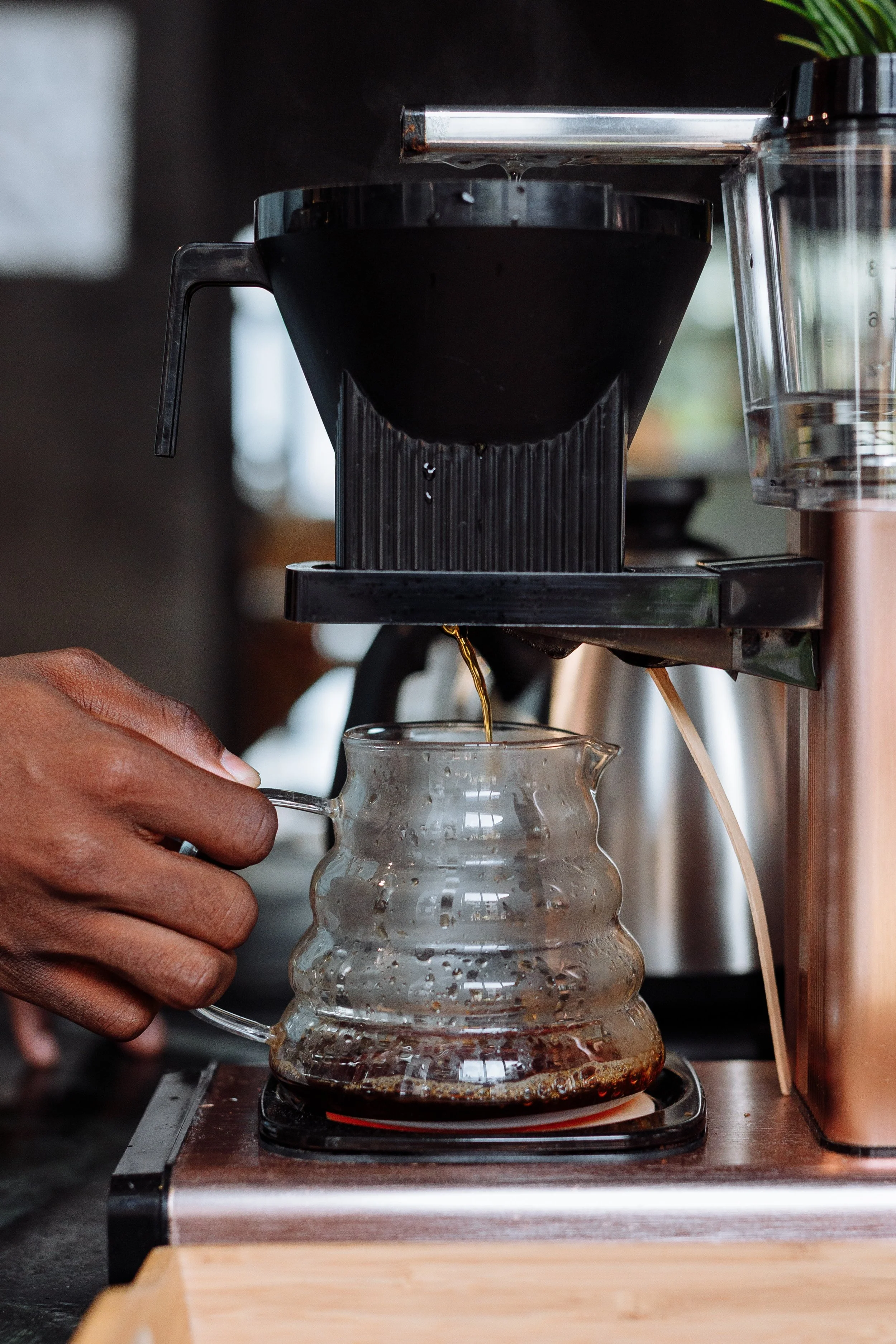 Nicaragua La Bastilla Anaerobic Geisha SHG/EP