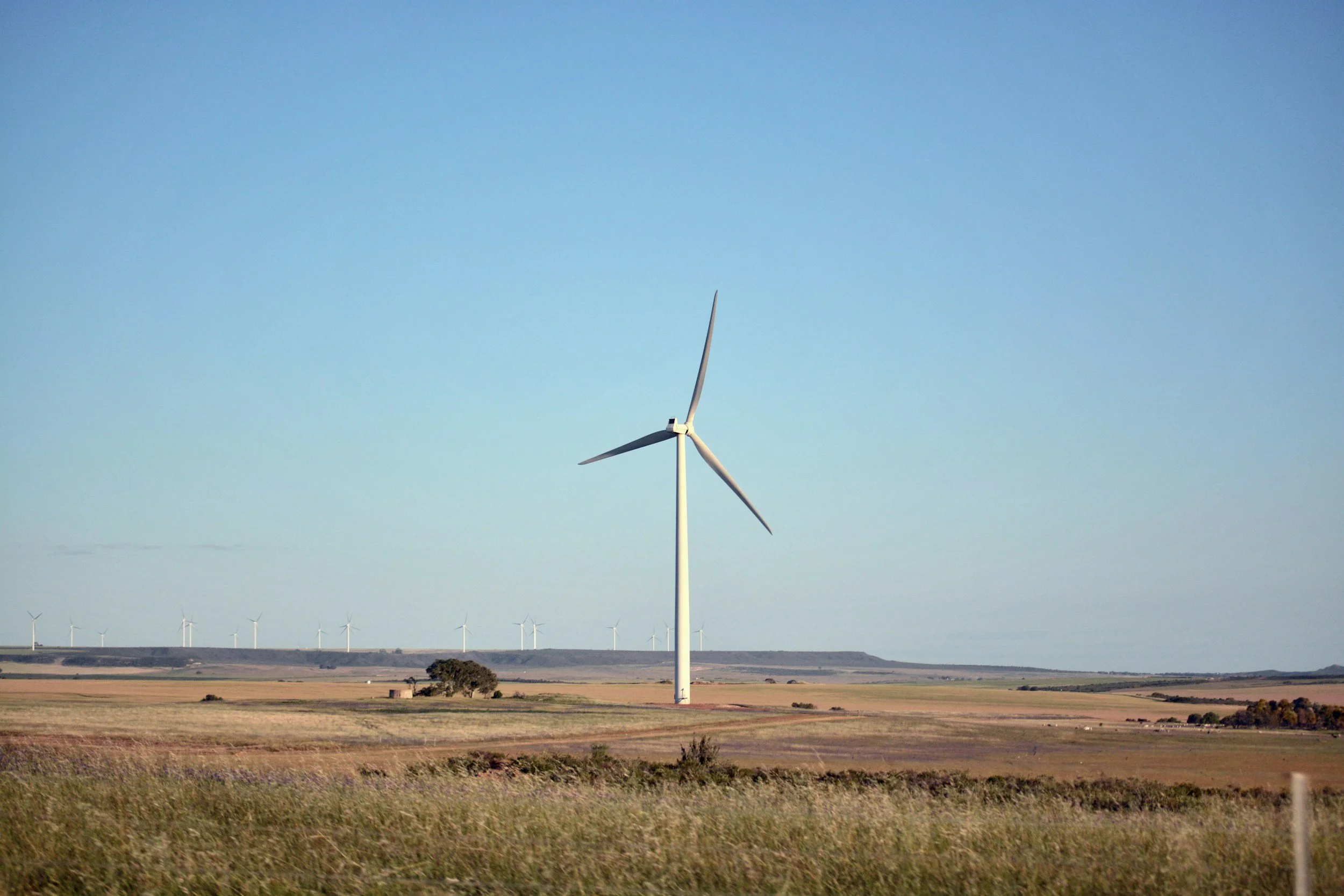 A field with multiple white wind turbines under a blue sky.