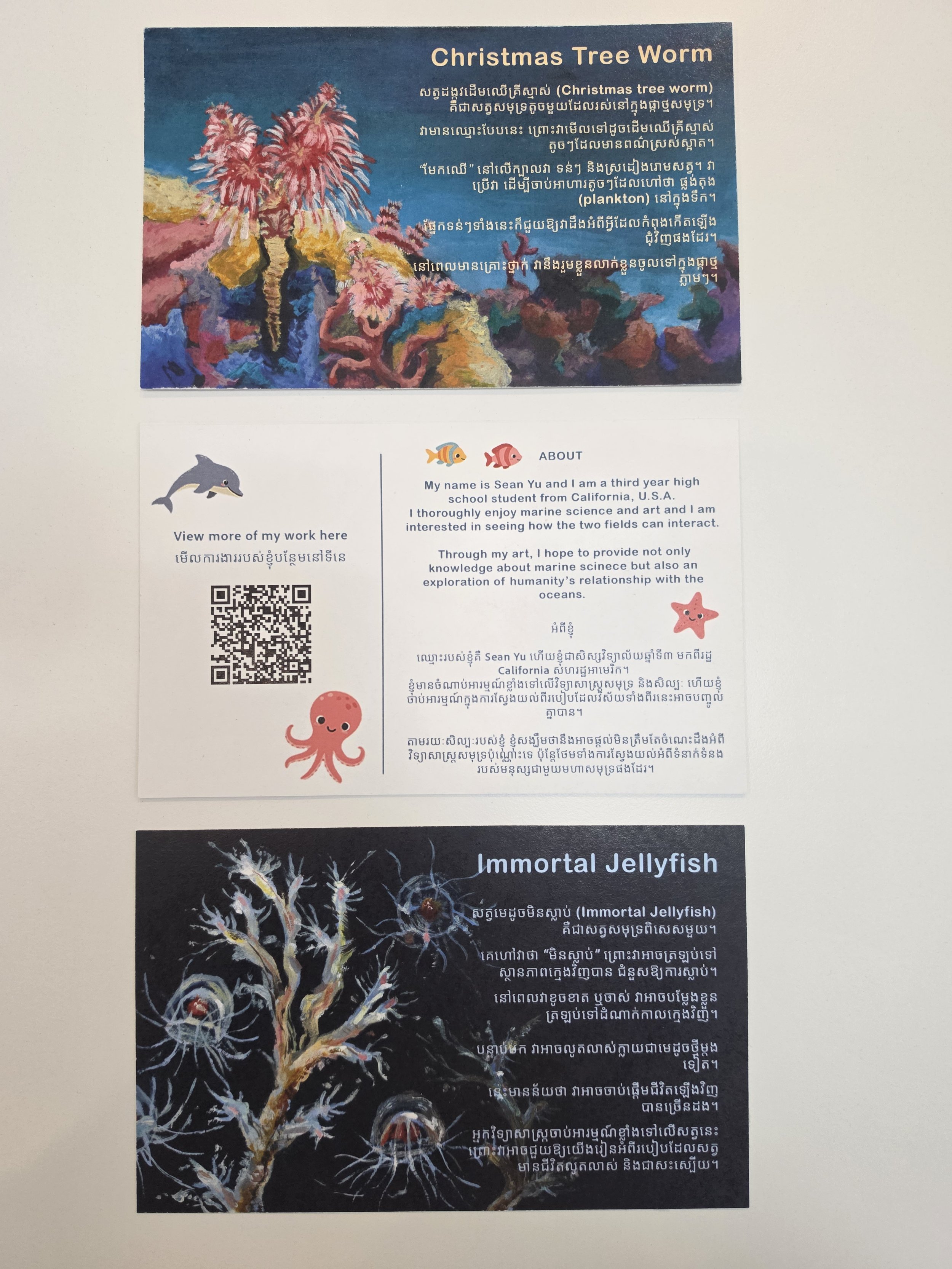 Information about the Christmas Tree Worm and the Immortal Jellyfish, with images of colorful coral and marine life.