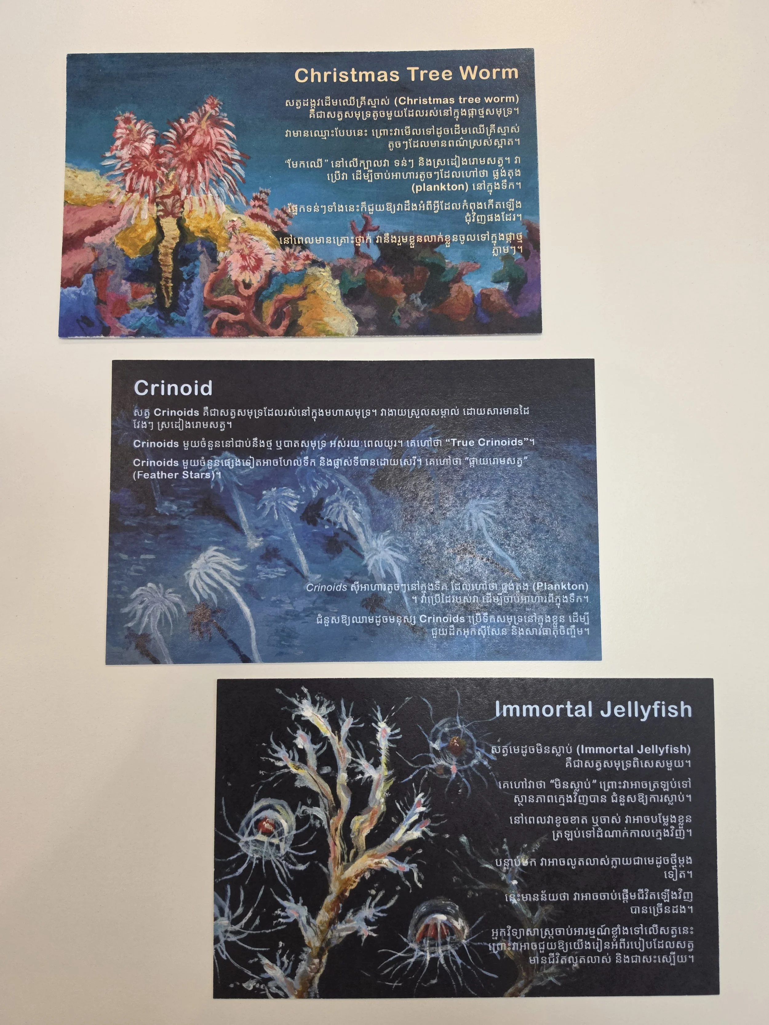 Educational poster exhibiting the paintings and descriptions of marine life such as Christmas Tree Worm, Crinoid, and Immortal Jellyfish. The poster includes colorful illustrations and underneath each, information about each species.