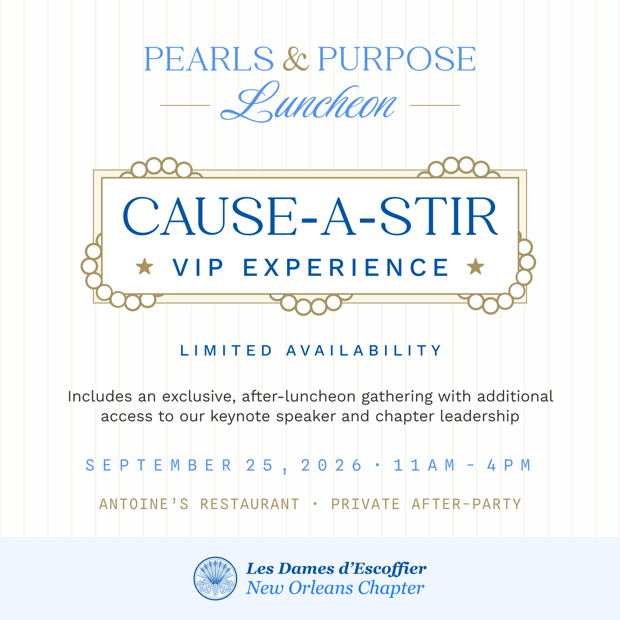Cause-a-Stir VIP Experience