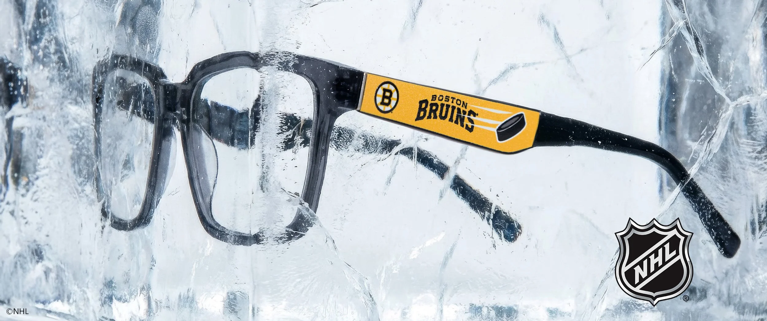 NHL Banner.jpg