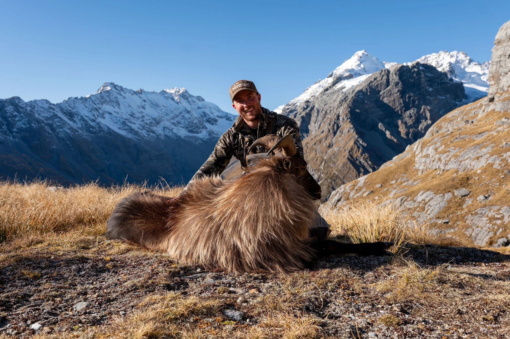 Tahr Hunting Season