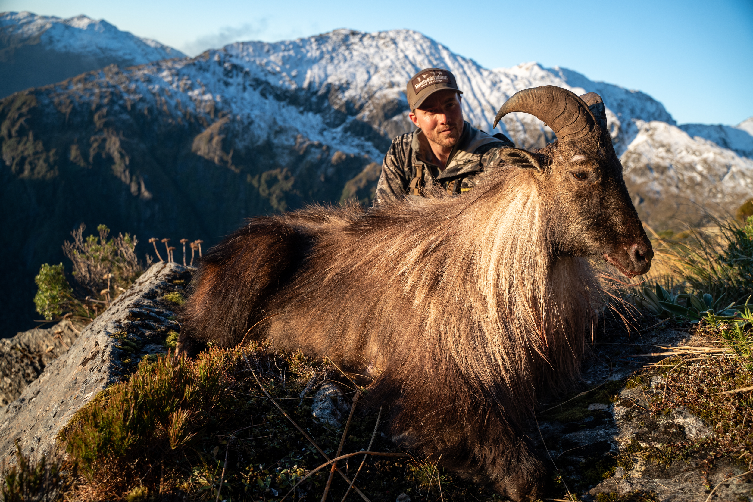 JE WILDS TAHR HUNT NZ HELI RURAL.png