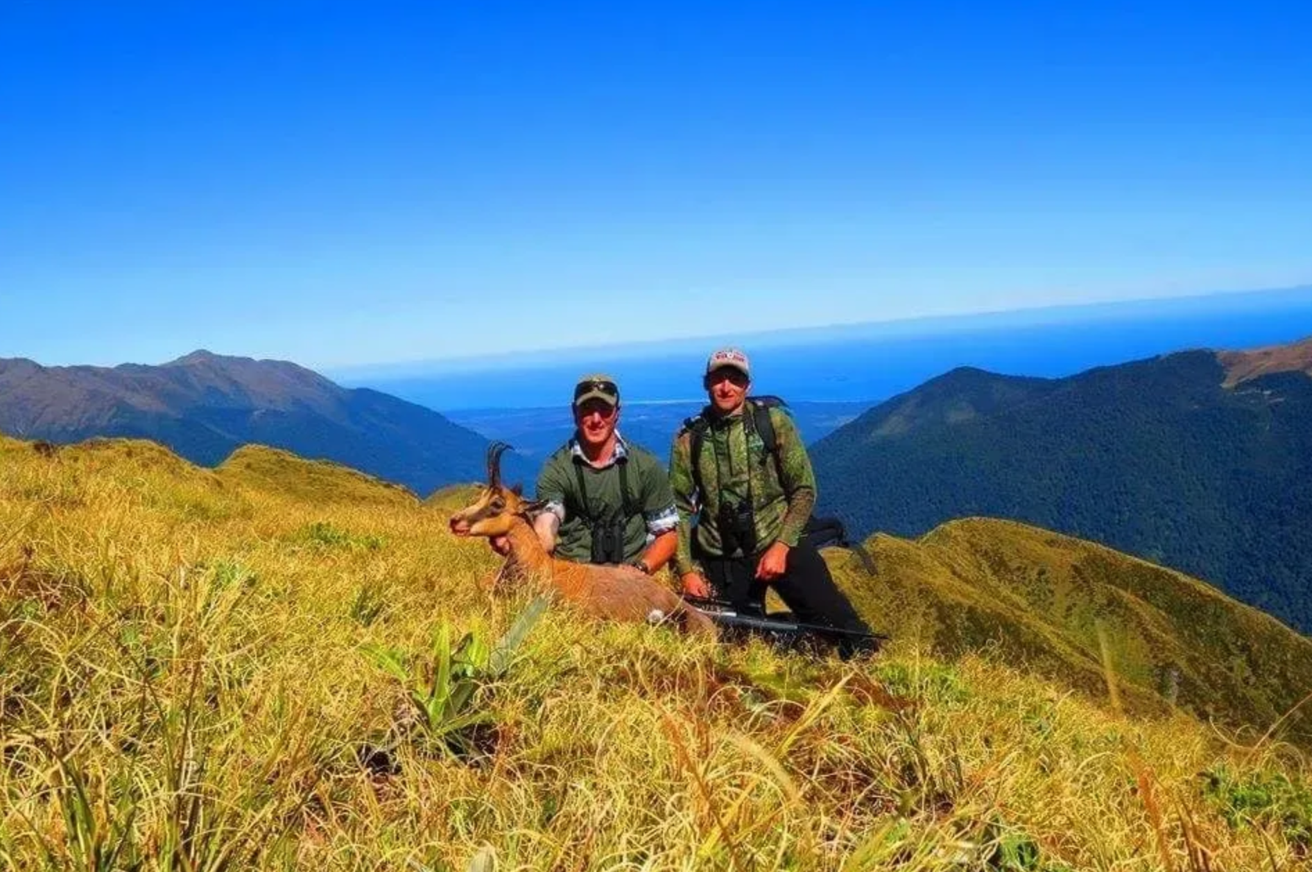 Autumn Hunting In New Zealand