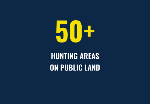 stat_01_areas.png