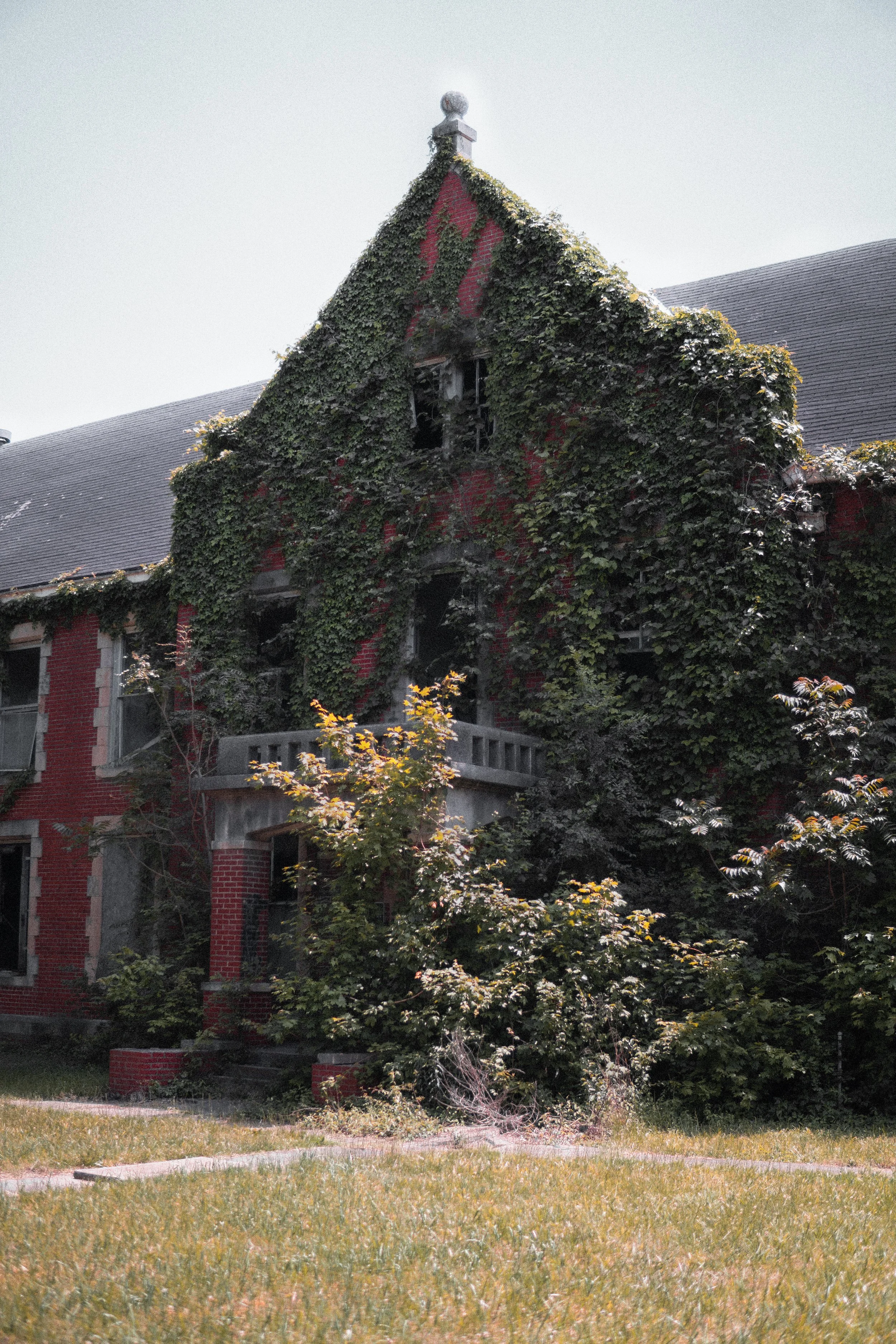 DSC06362-Edit.jpg
