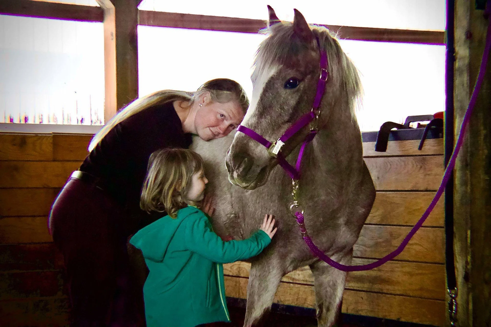 A woman and two children petting a gray horse with a purple halter inside a wooden stable.