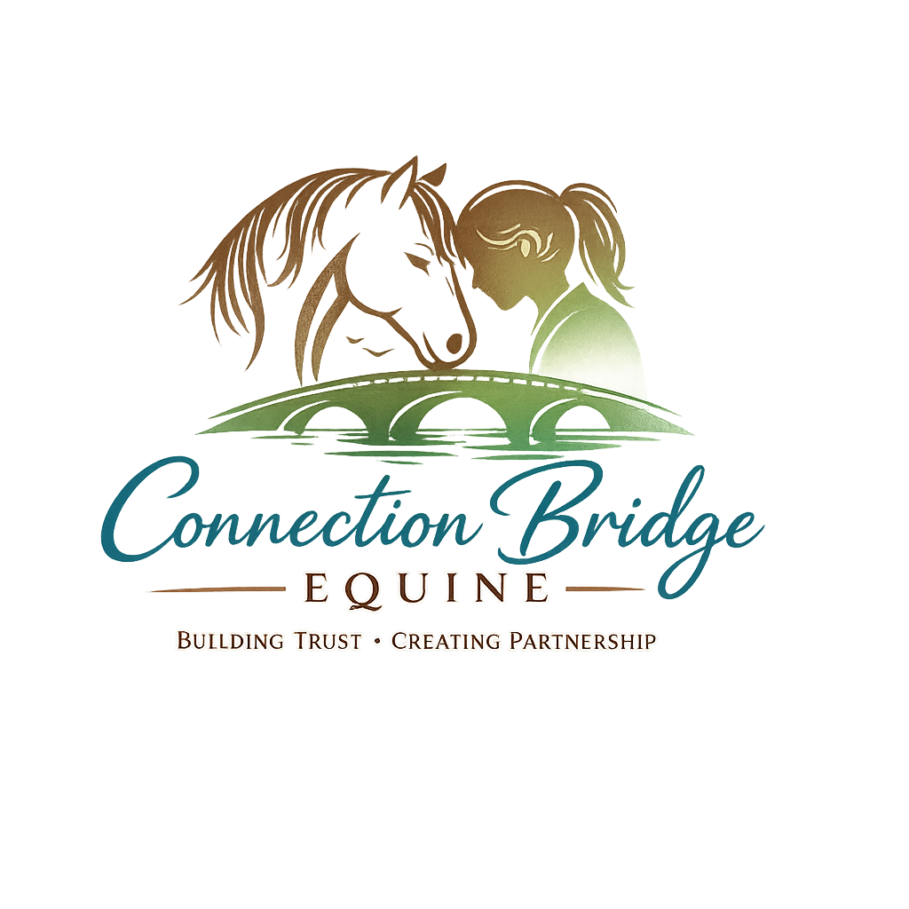 Understanding Your Horse: Building Trust with Connection