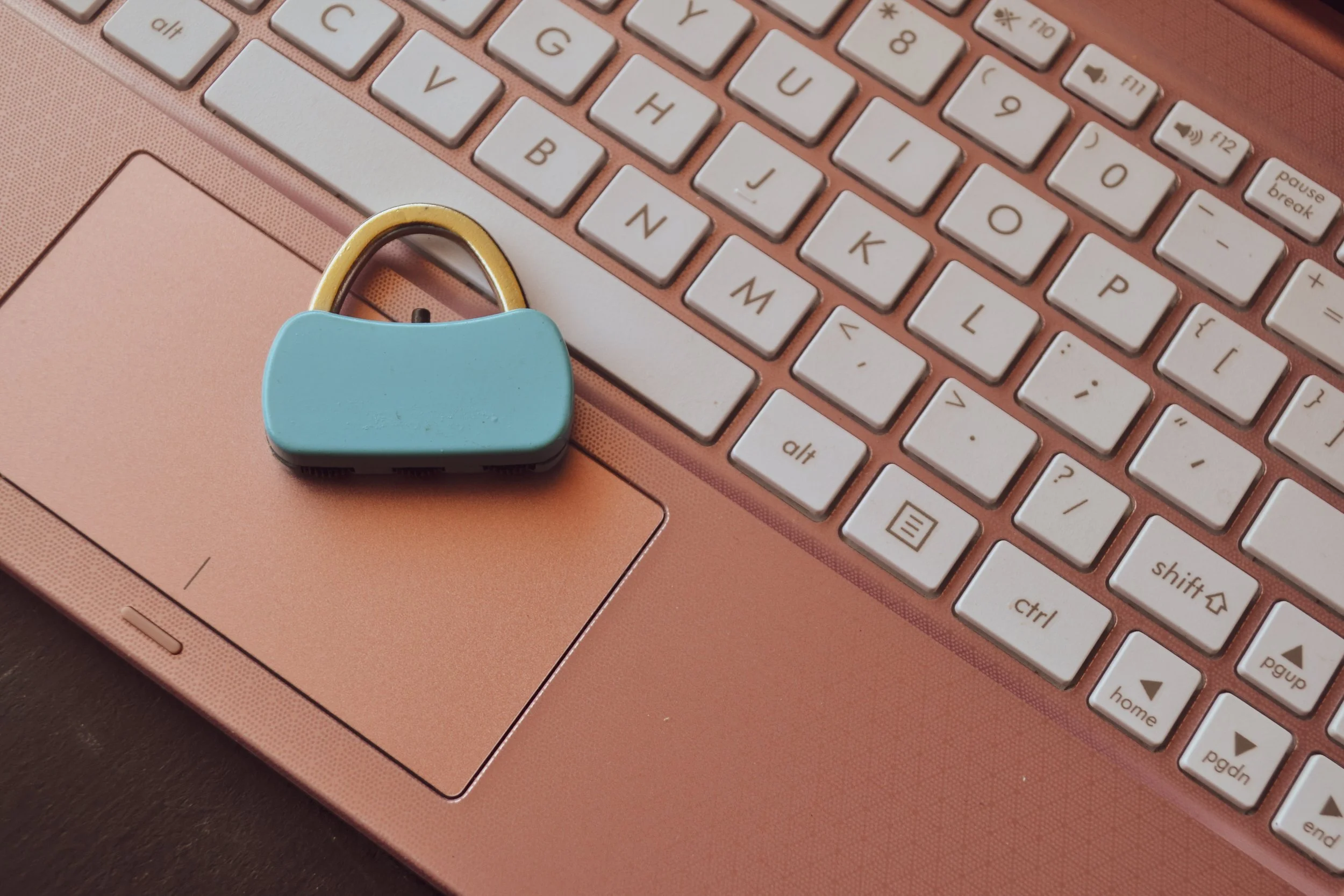 Copiar y Pegar sus Políticas de Privacidad Podría Costarle a su Negocio en Linea Miles de Dólares. DESCUBRA ¿PORQUE?