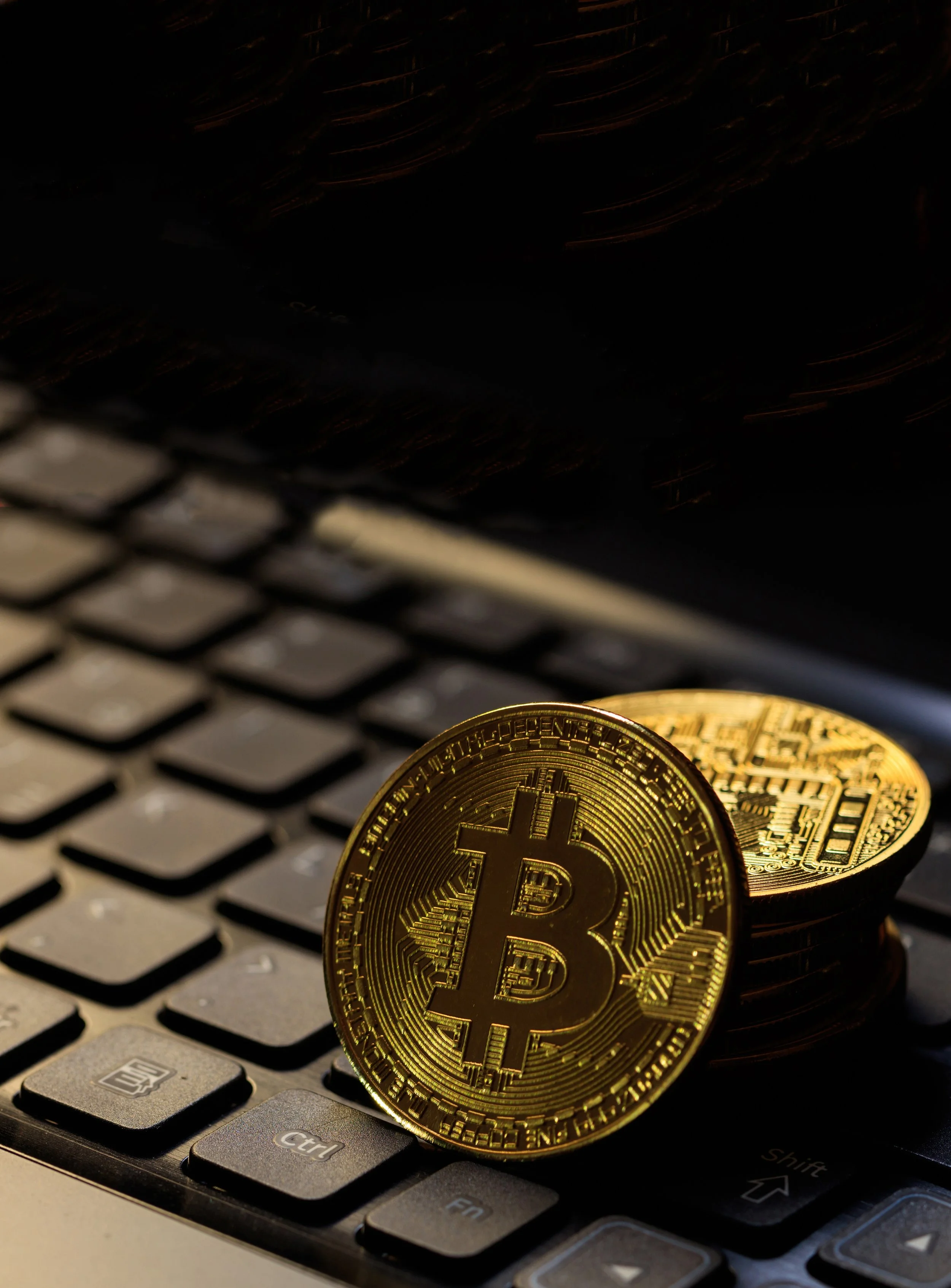 Cryptocurrency Regulations II: Government Involvement in Investor Protections