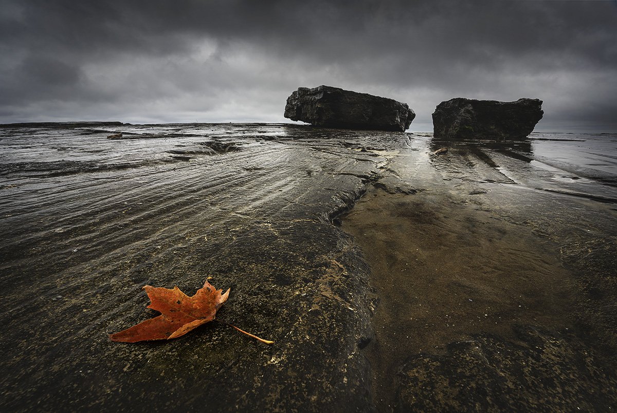 A wet, dark beach with two large rocks in the distance under an overcast sky, and a single red autumn leaf on the sand in the foreground.