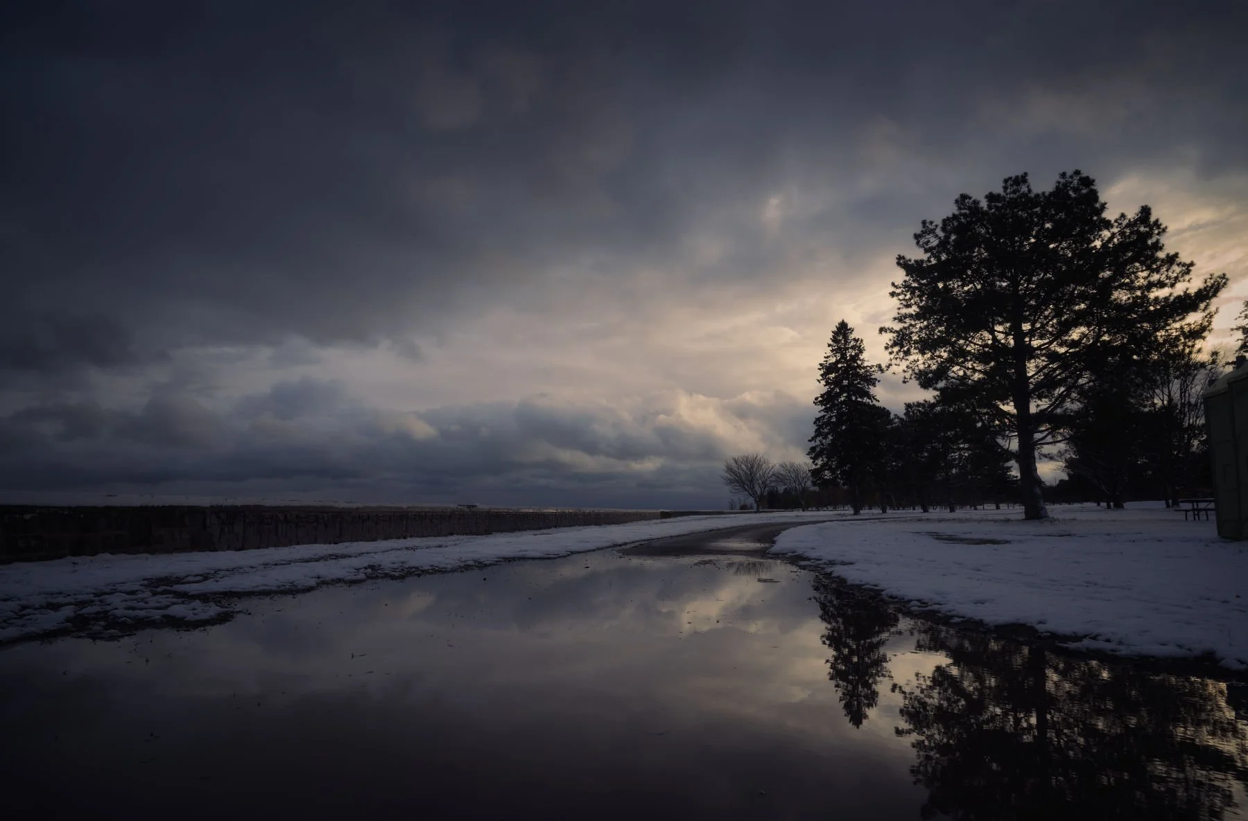 Snow-covered park with large trees, cloudy sky, and a reflective puddle on the ground.