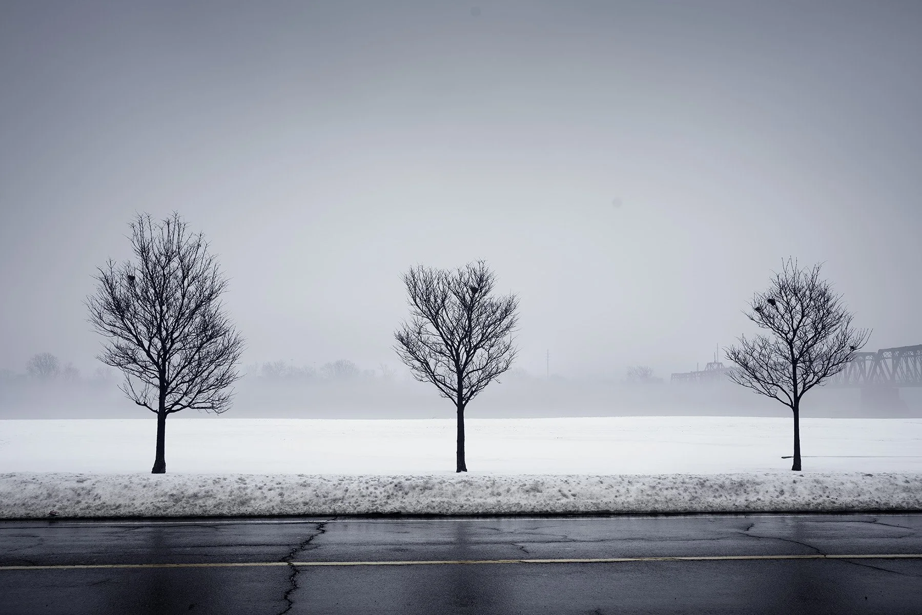 Three bare trees standing on a snowy landscape with fog in the background, overcast sky, and a rural bridge in the distance.