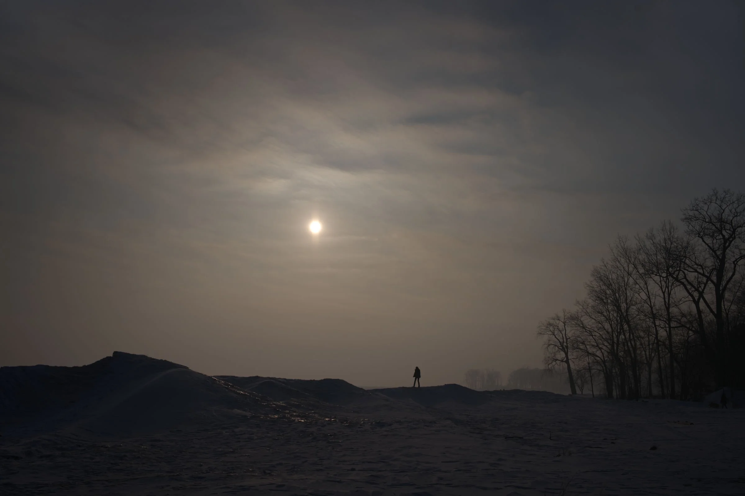 The image shows a landscape at dusk or dawn with a large, bright moon in the cloudy sky, silhouettes of mountains in the background, a person walking, and leafless trees on the right side.
