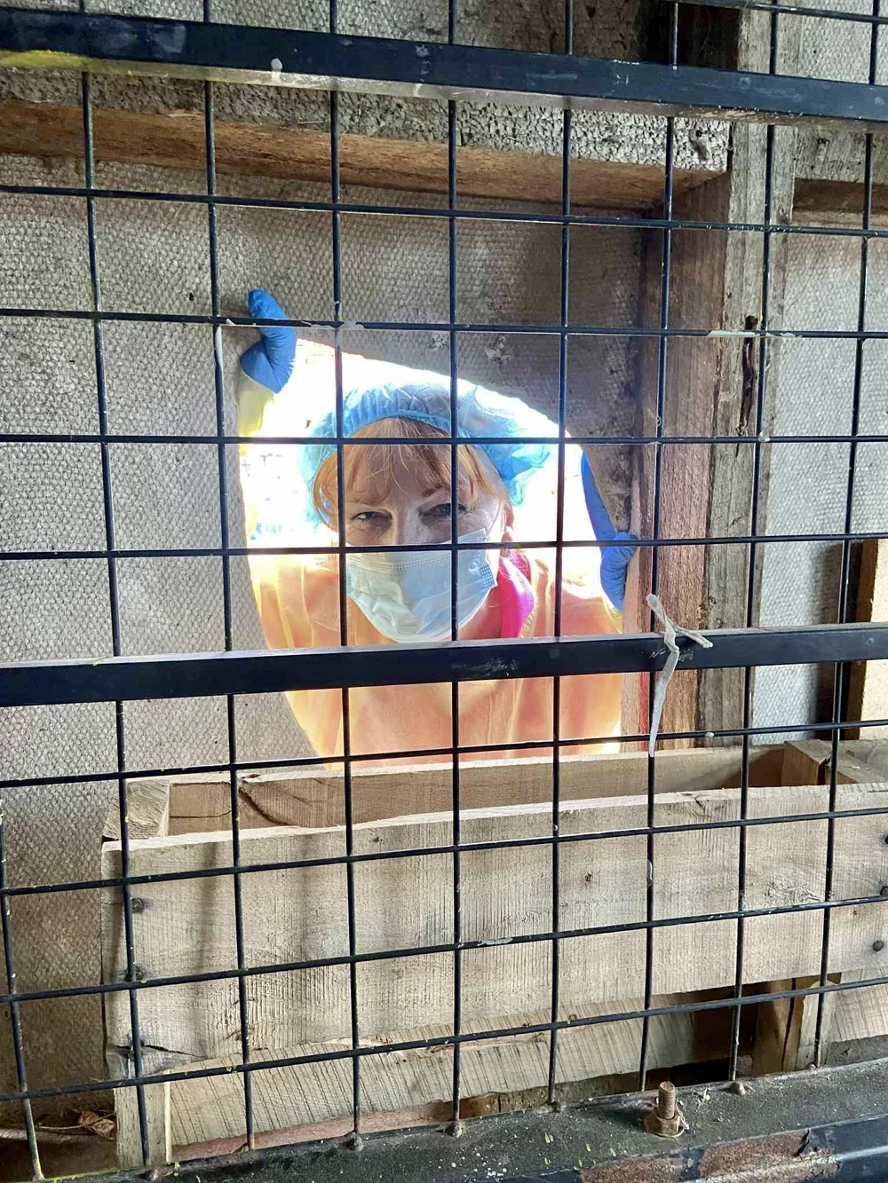 A person wearing a face mask, gloves, and a protective gown is looking through a wooden and metal barred opening, smiling at the camera.