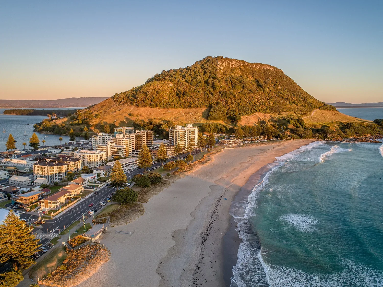 A coastal town with buildings, trees, and a sandy beach in front of a large mountain, with water and waves nearby.