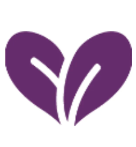 Purple heart-shaped leaf with a white vein in the center.