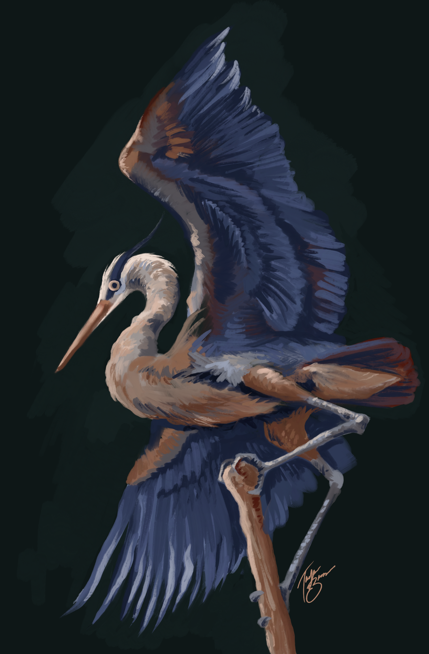 Untitled Artwork.PNG