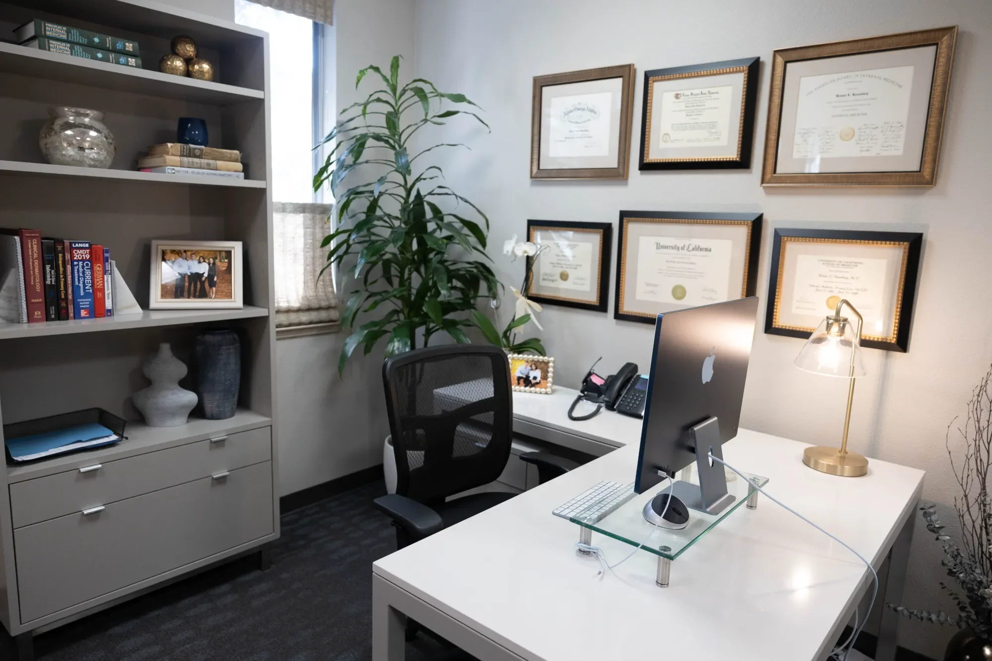 An office space featuring a white desk with a computer, lamp, and phone with framed diplomas and a large potted plant