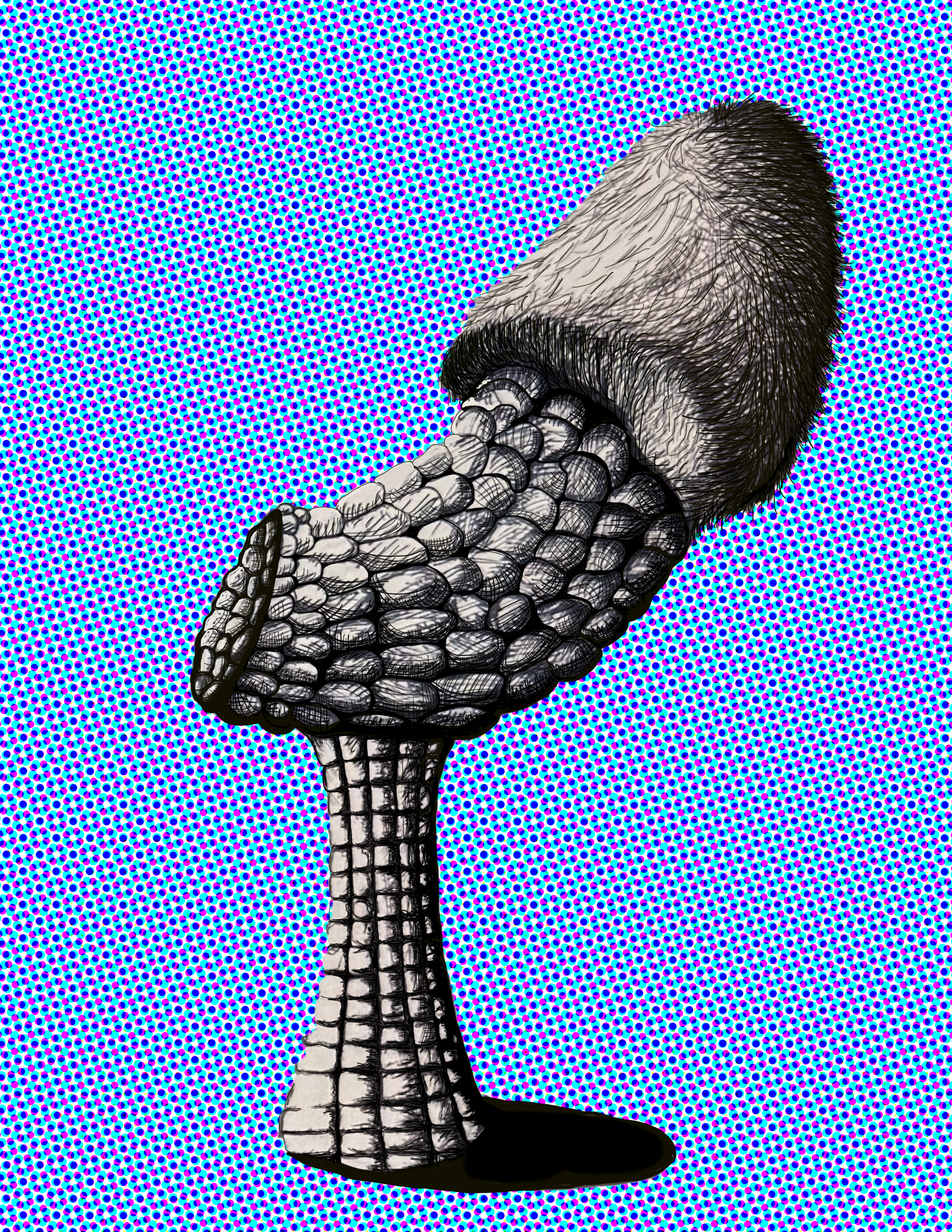 Study of The Shroom 8.5x11 Print