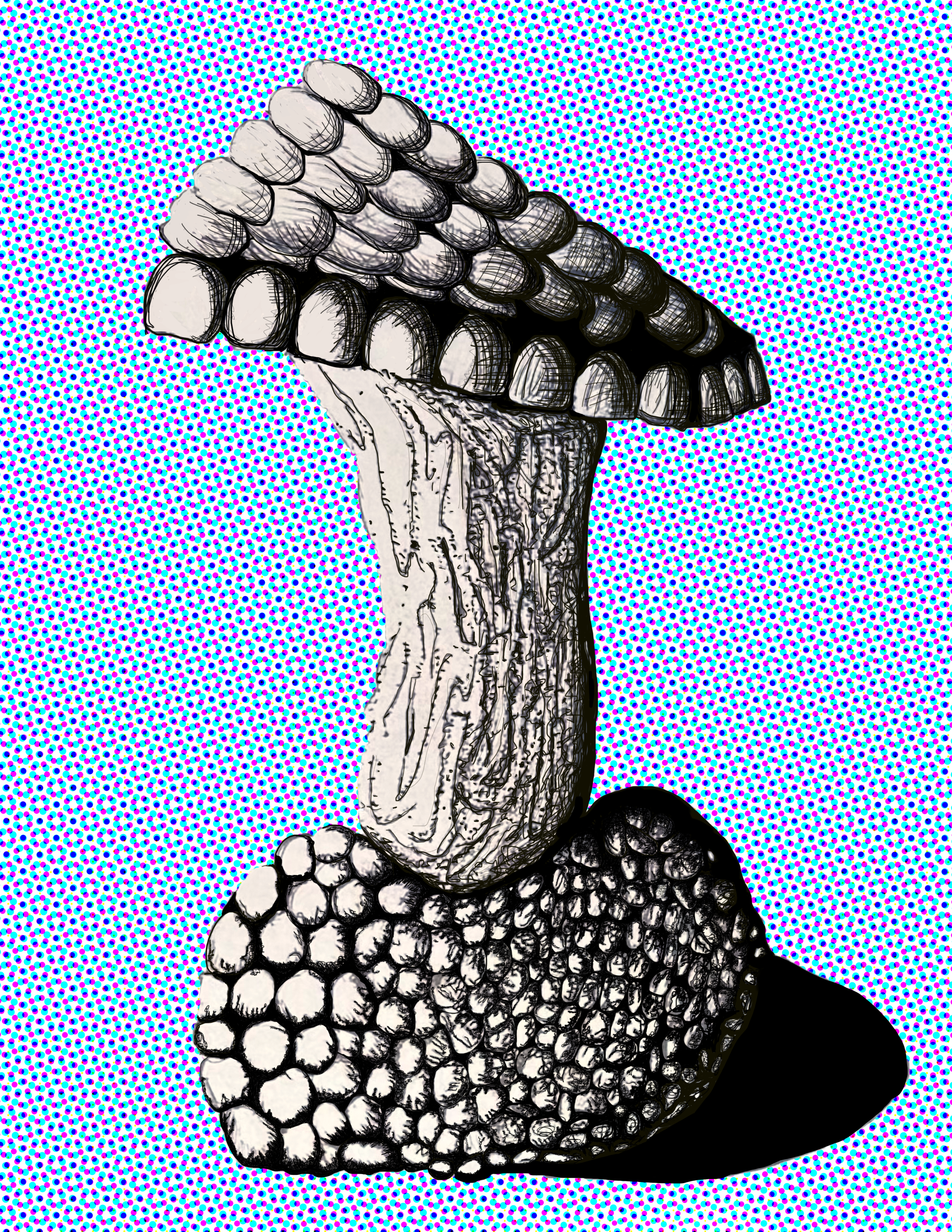 Study of The Tree 8.5x11 Print